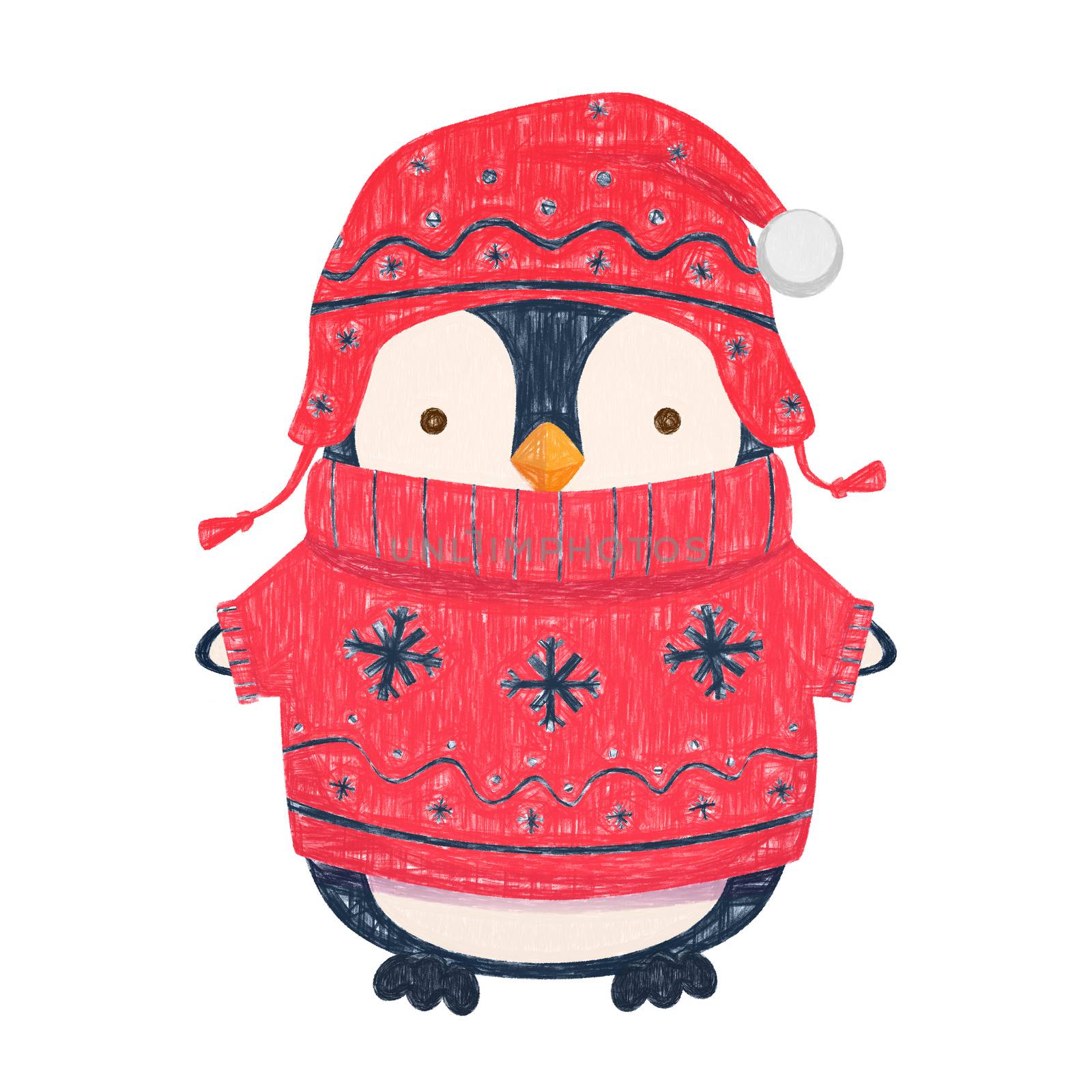 Penguin cartoon illustration. Penguin in hat and sweater