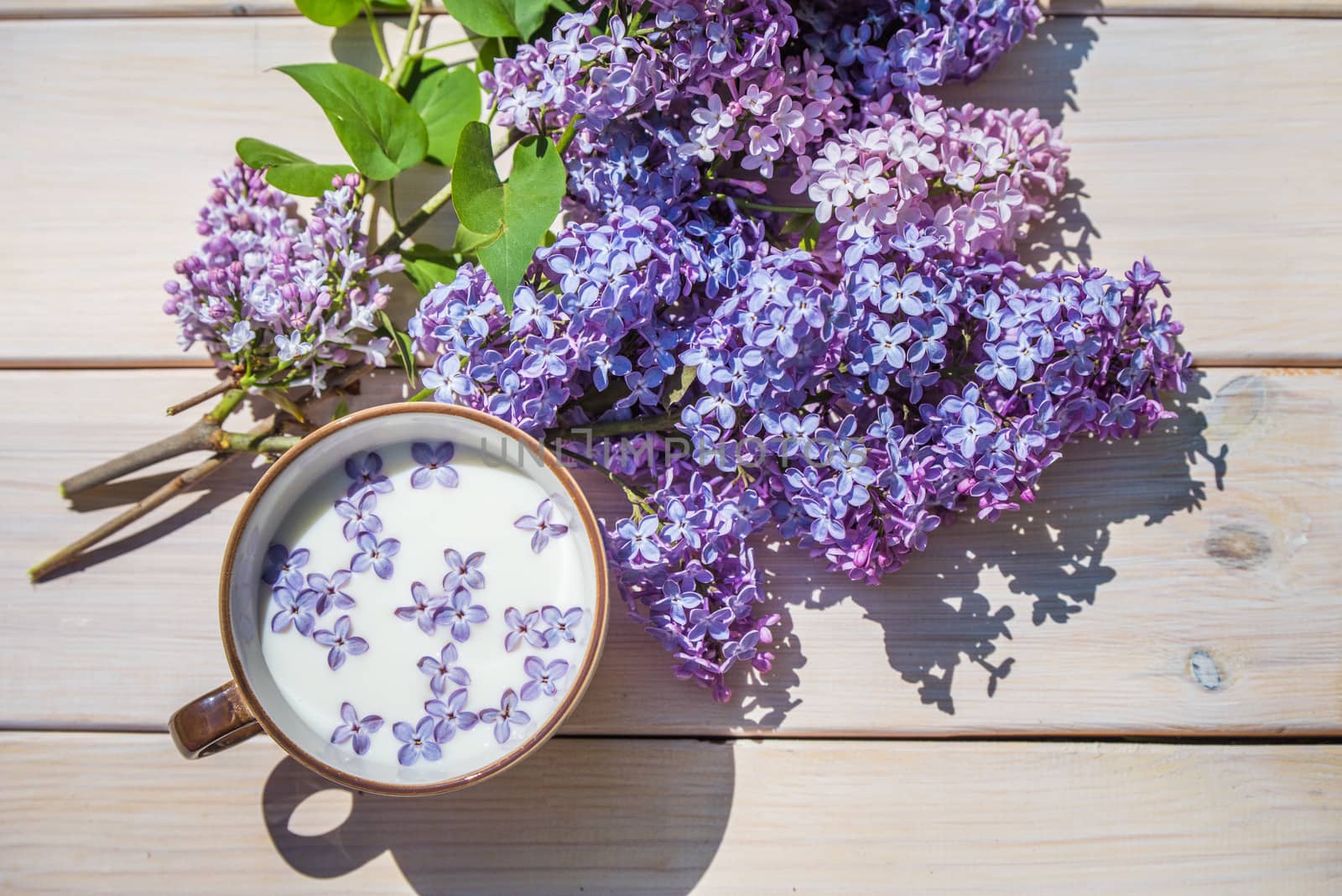 Cup with milk and small purple lilac flowers on a wooden table, matte natural still life