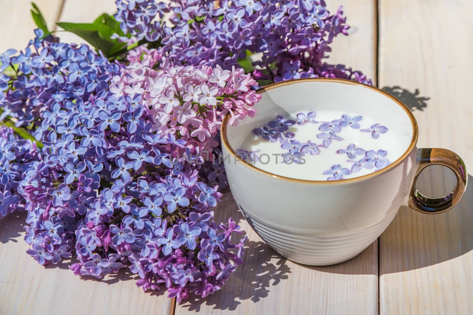 Cup with milk and small purple lilac flowers on a wooden table, matte natural still life