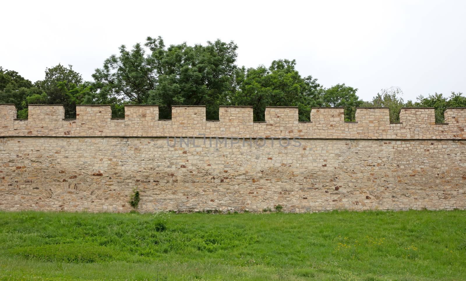 Castle wall with a green lawn in front of it by michaklootwijk