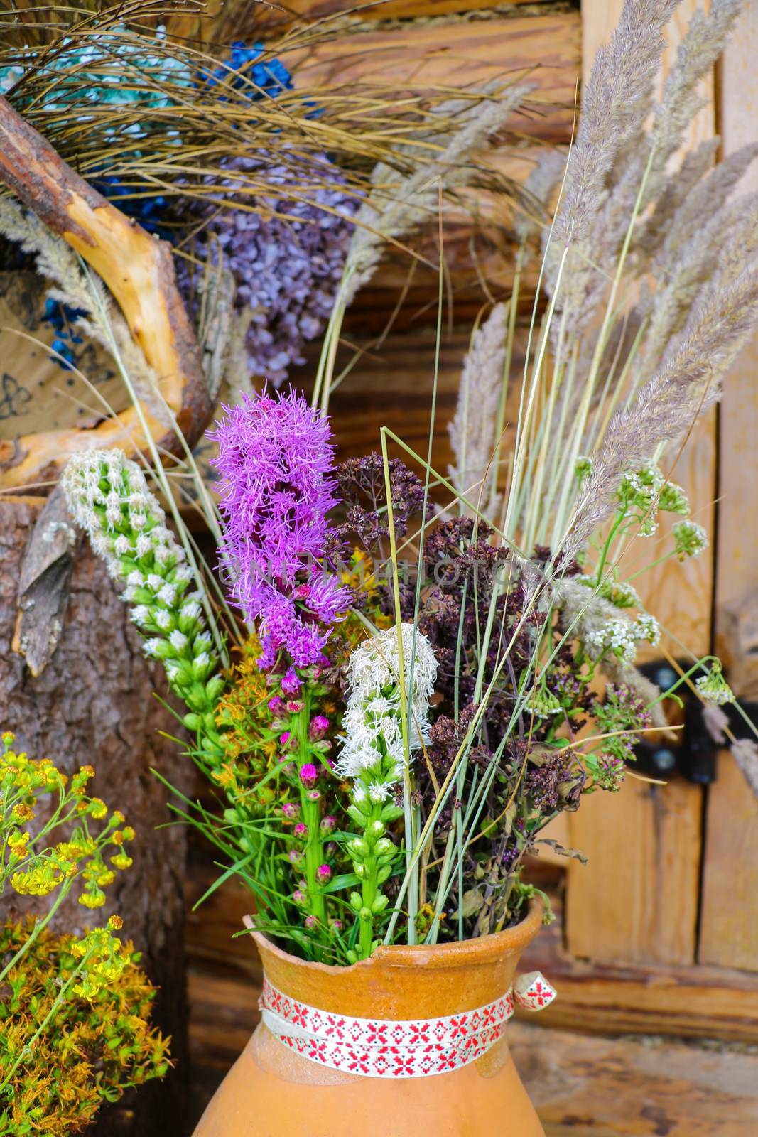 View of useful herbs and plants used in traditional medicine. by kip02kas