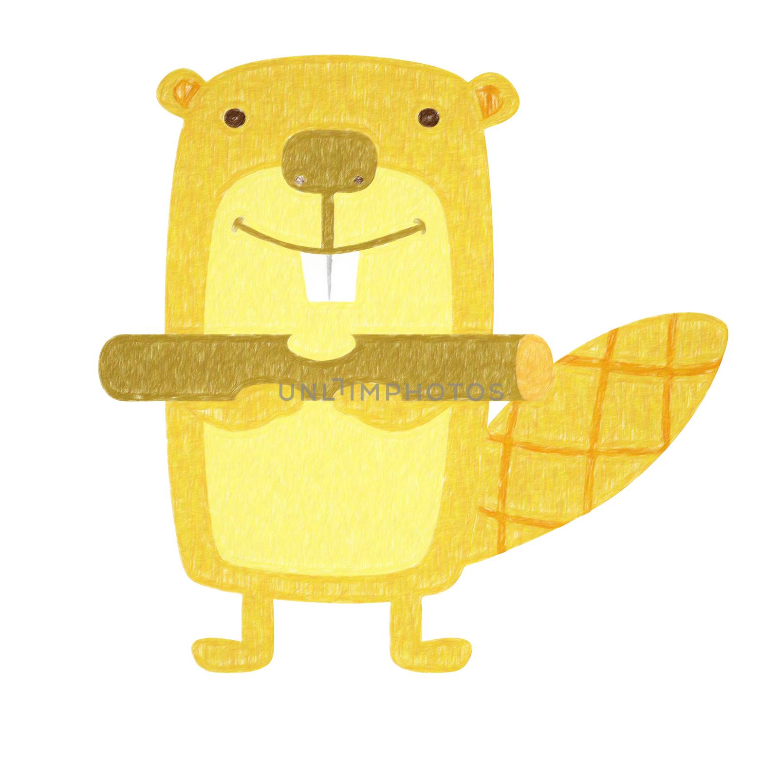 Beaver isolated. Hand drawing beaver for a child