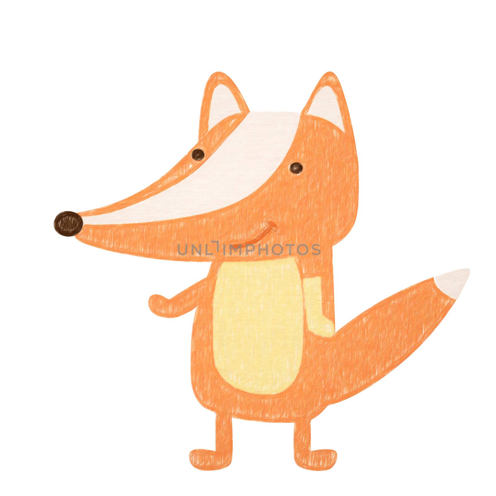 Fox isolated. Hand drawing fox for a child