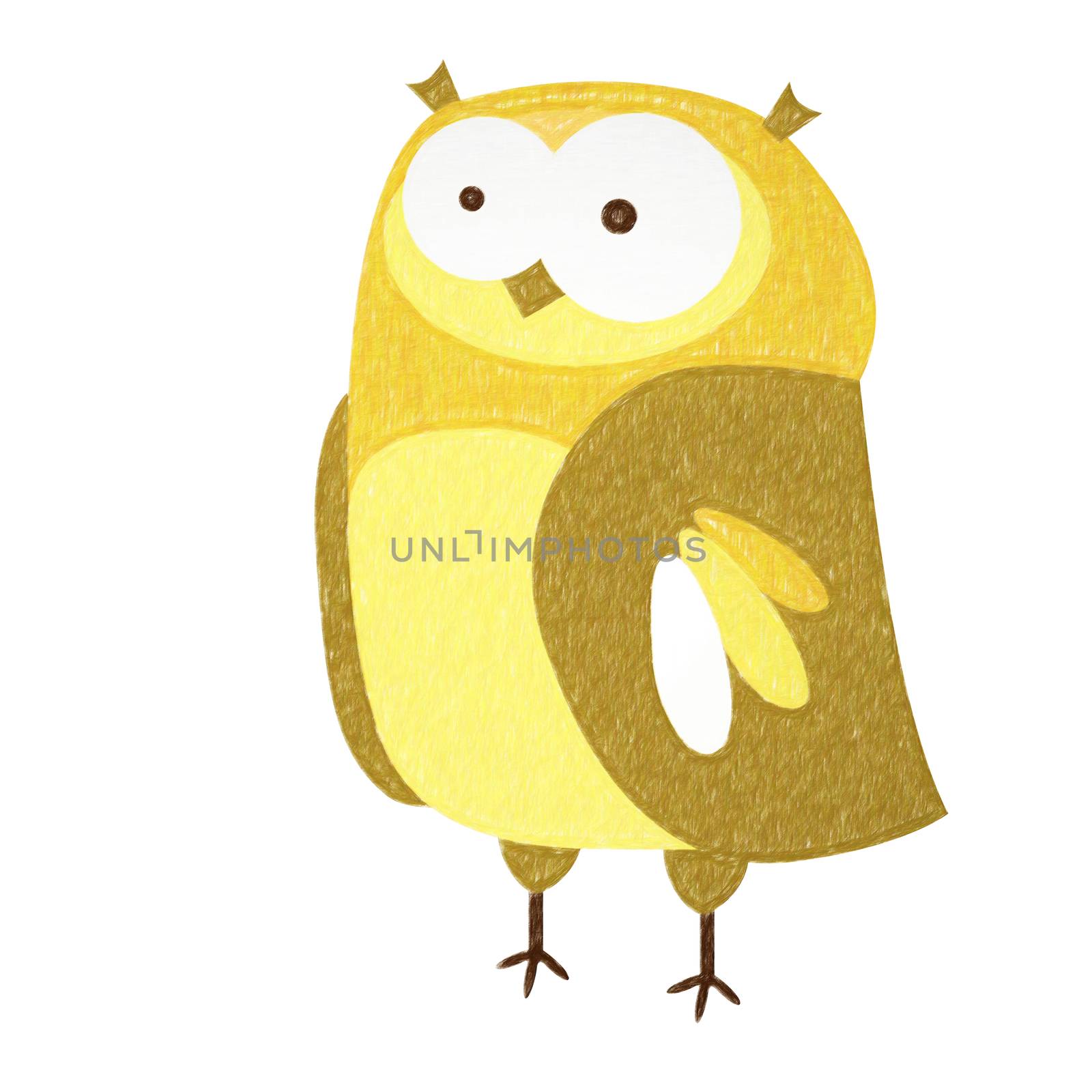 Owl isolated. Hand drawing owl for a child