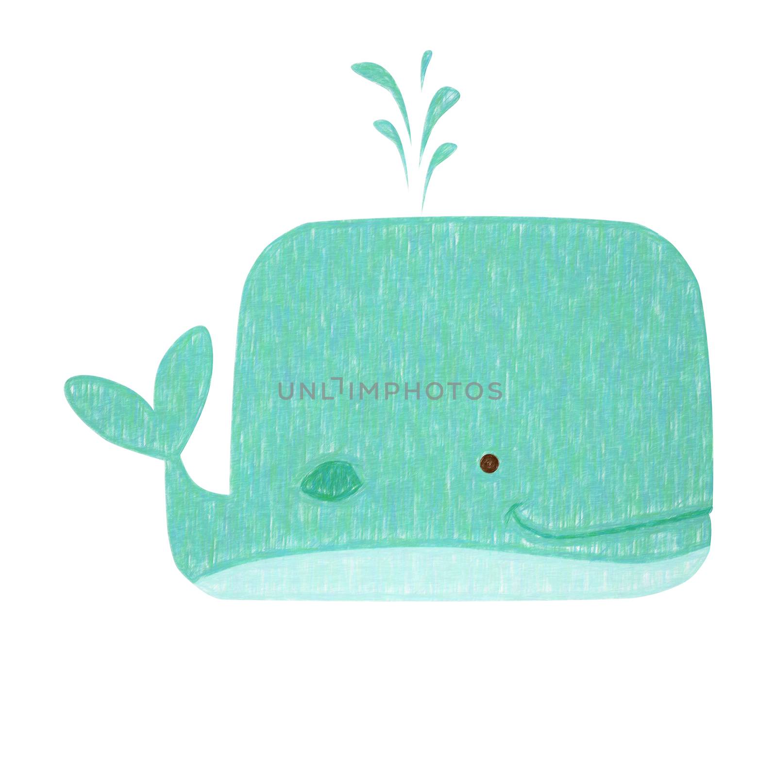 Whale isolated. Hand drawing whale for a child