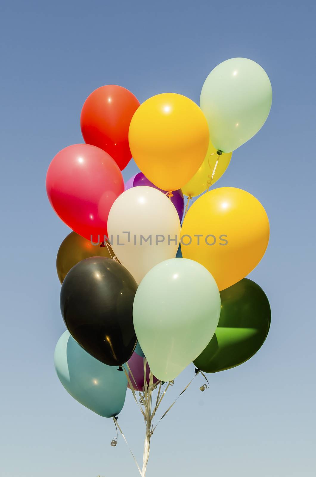 Colorful bunch of helium balloons isolated on background