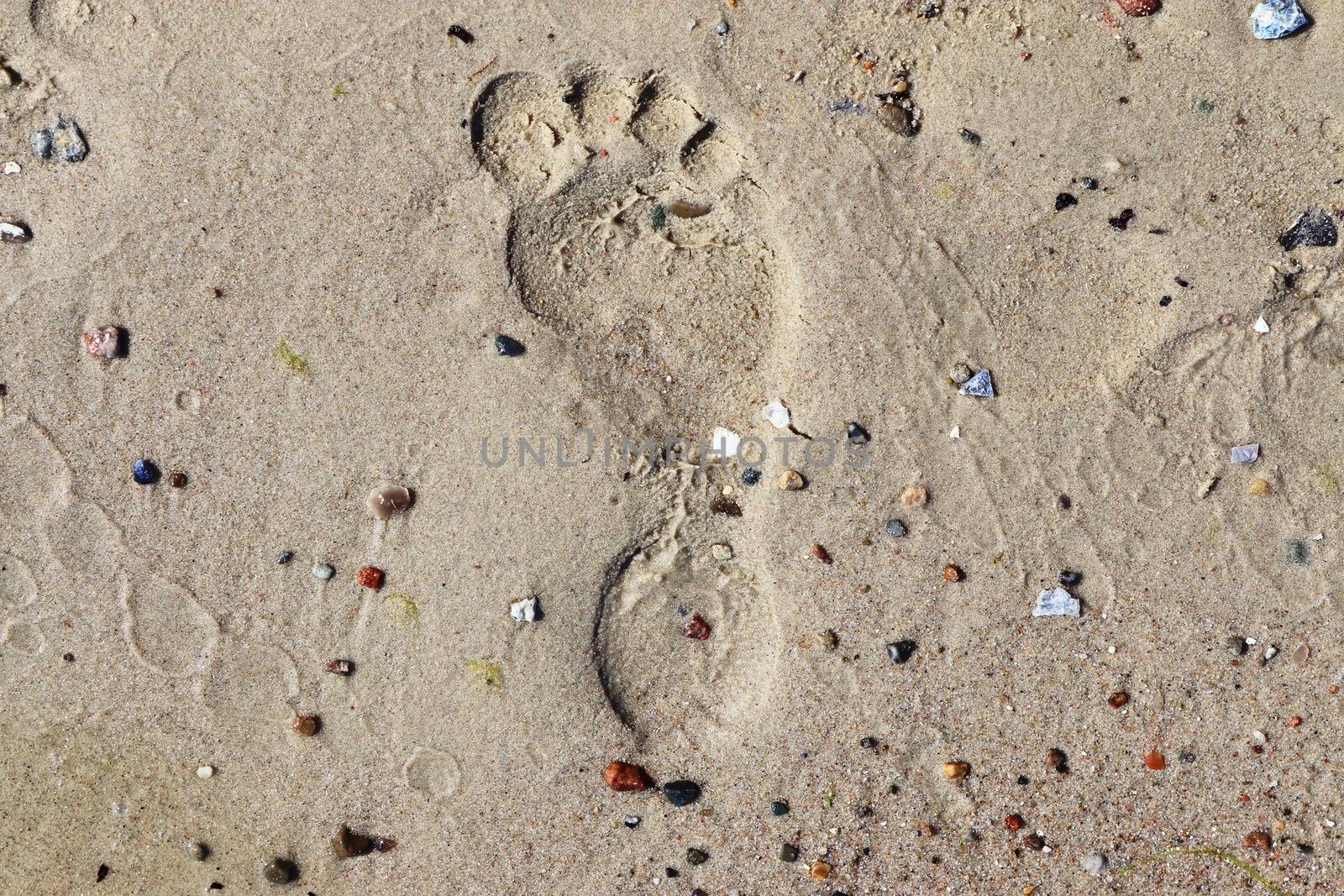 Beautiful detailed footprints in the sand of a beach during summer. Copy space background.