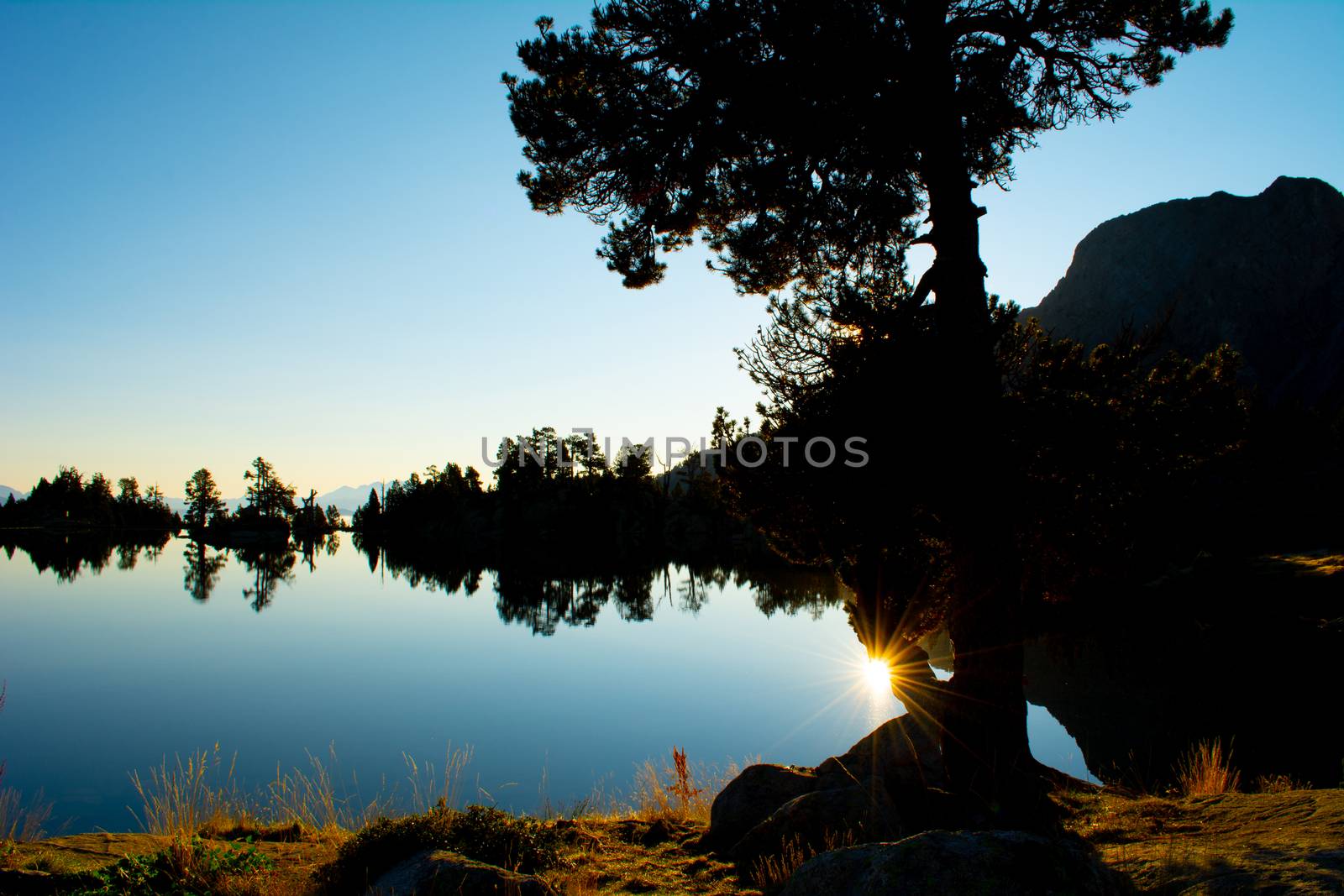 Sunset silhouette of trees and lake in natural enviornment, blue sky, reflections of surrounding landscape.
