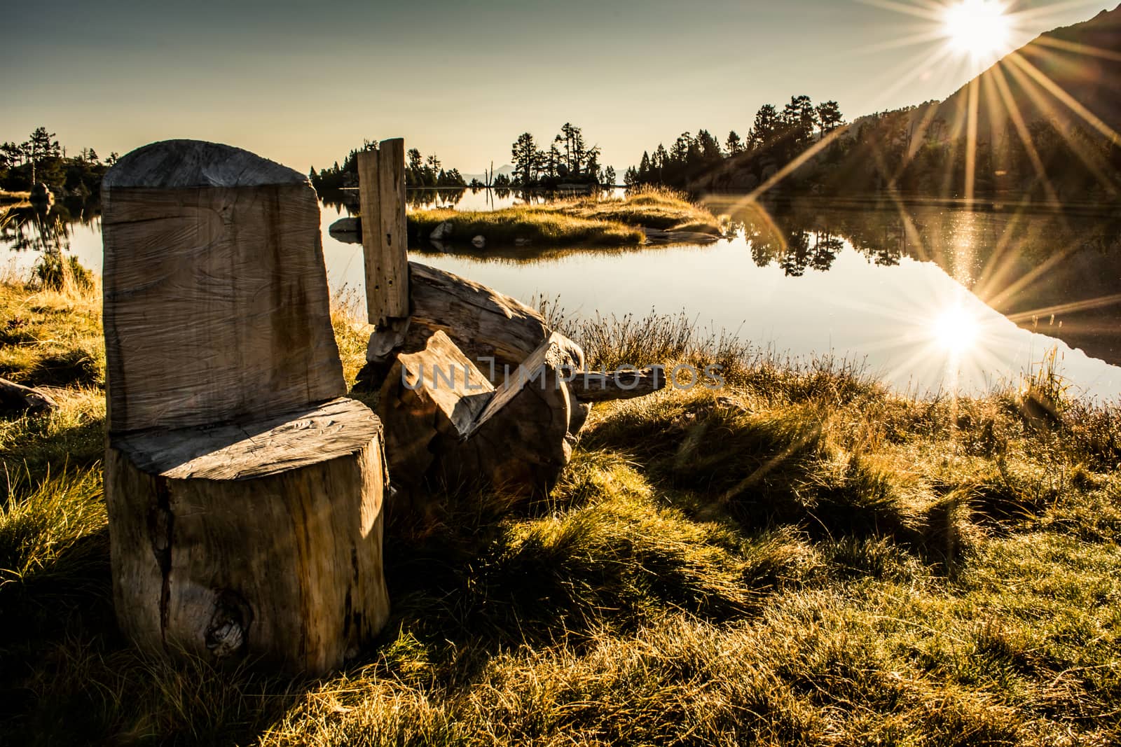 DIY wooden chair made of tree trunk in landscape and nature during sunset.