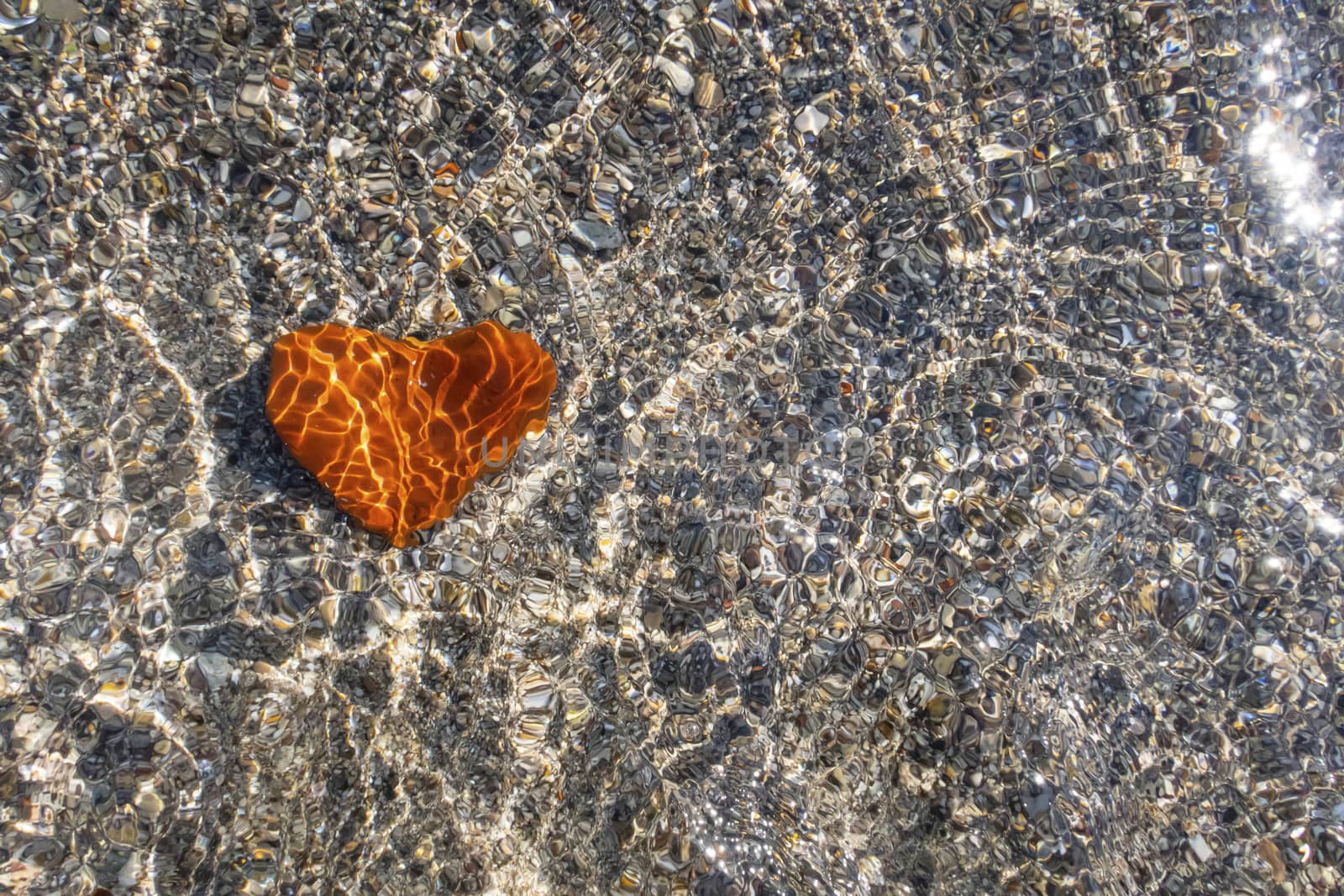 orange heart shaped stone at the beach