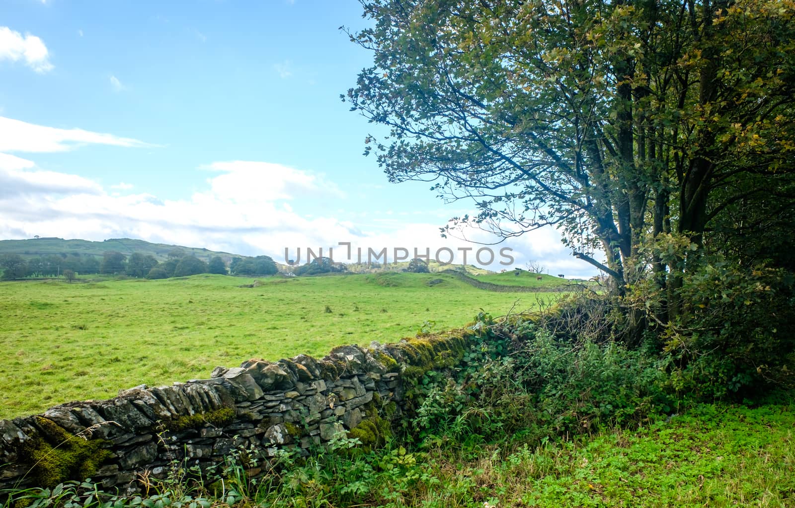 View across open farmland near Ings in the Lake Distict UK by paddythegolfer