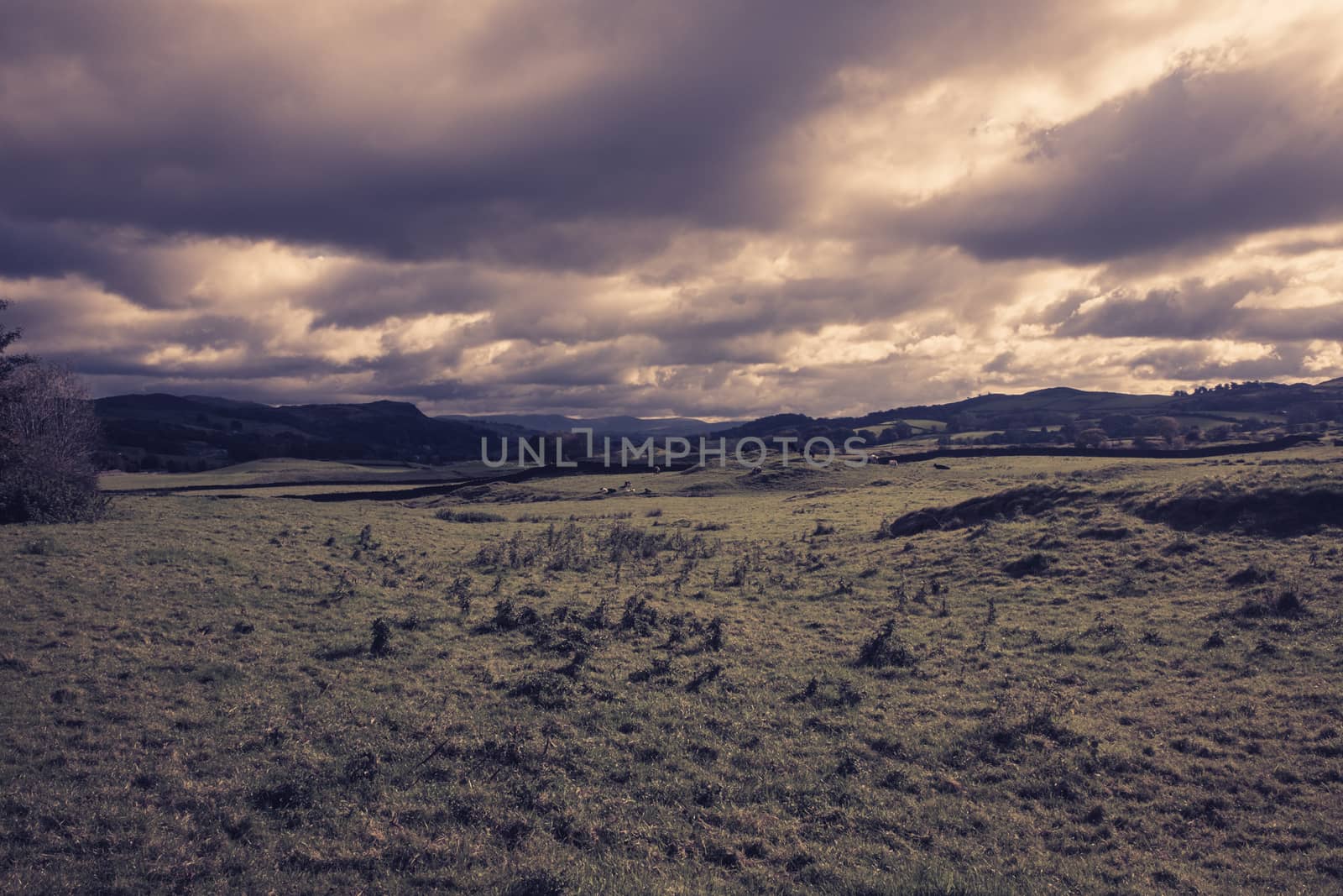 field sepia landscape across open farmland