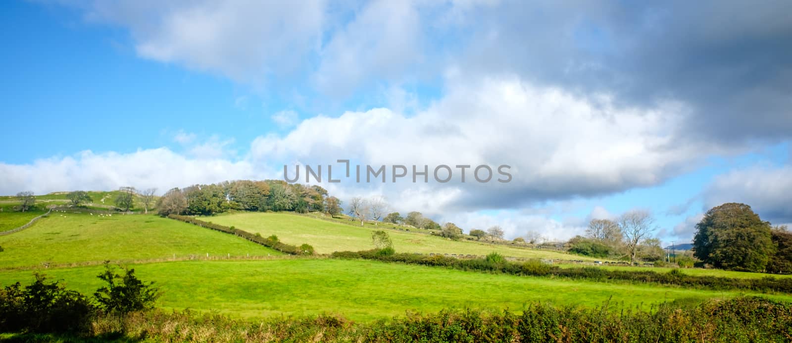 View across open farmland near Ings in the Lake Distict UK by paddythegolfer