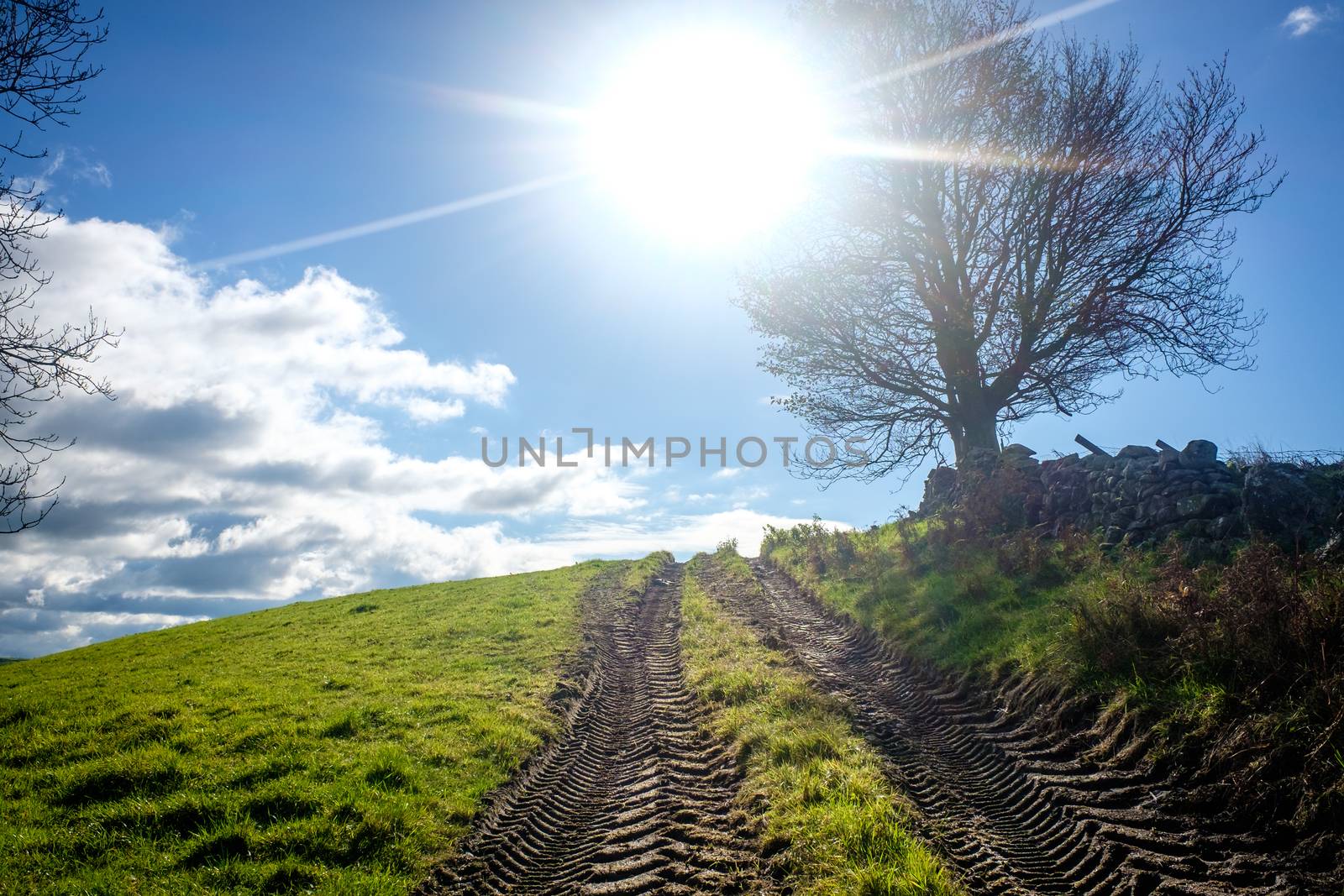Fresh tractor track in a filed on a sunny day UK