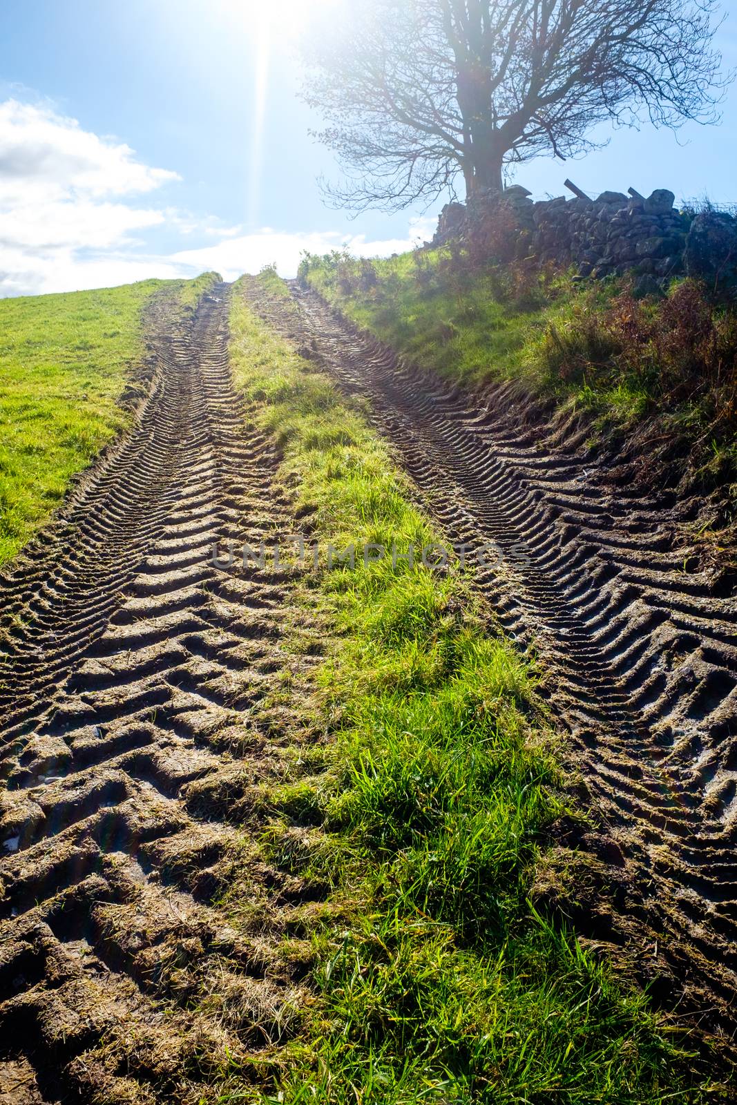 Fresh tractor track in a filed on a sunny day by paddythegolfer