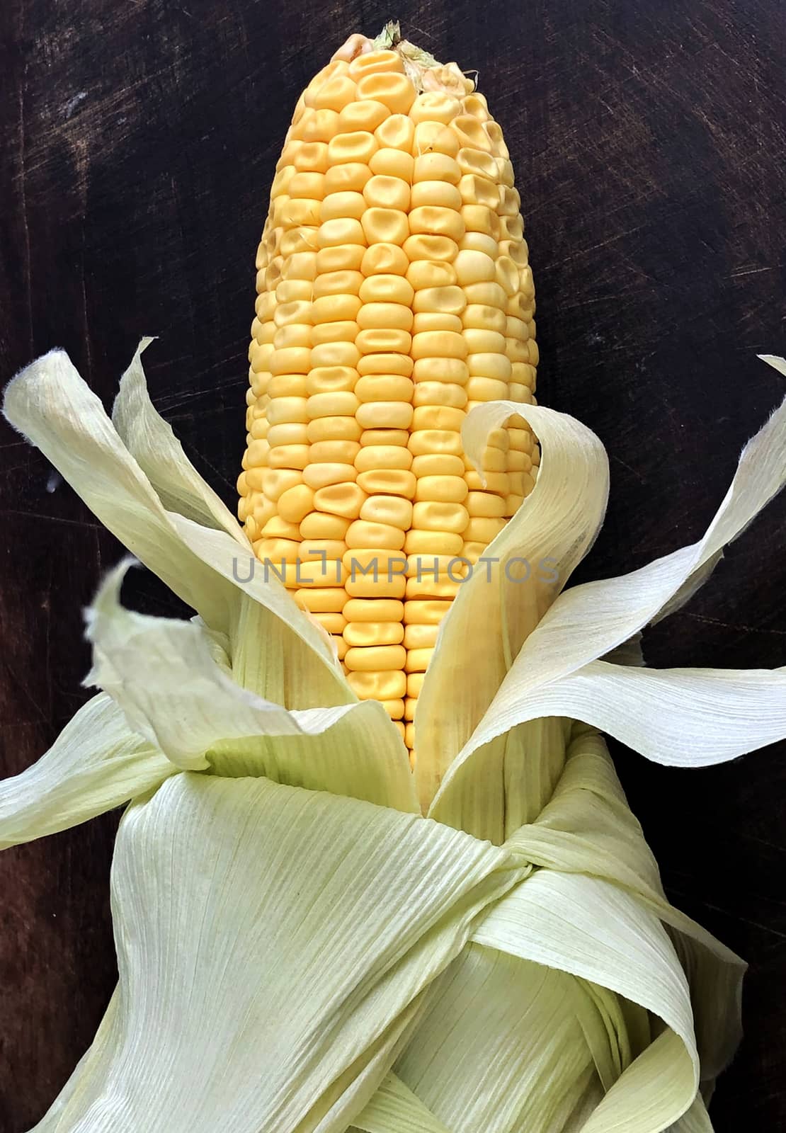 Isolated view of corn maize kept in a plate for cooking after removing the outer skin like leaves