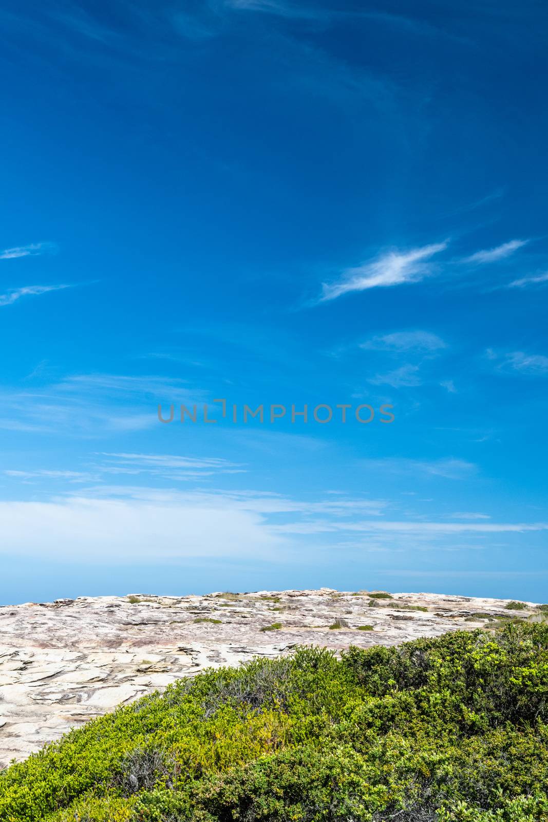 Detail of rocky Australian coastline with green vegetation, blue sky and clouds
