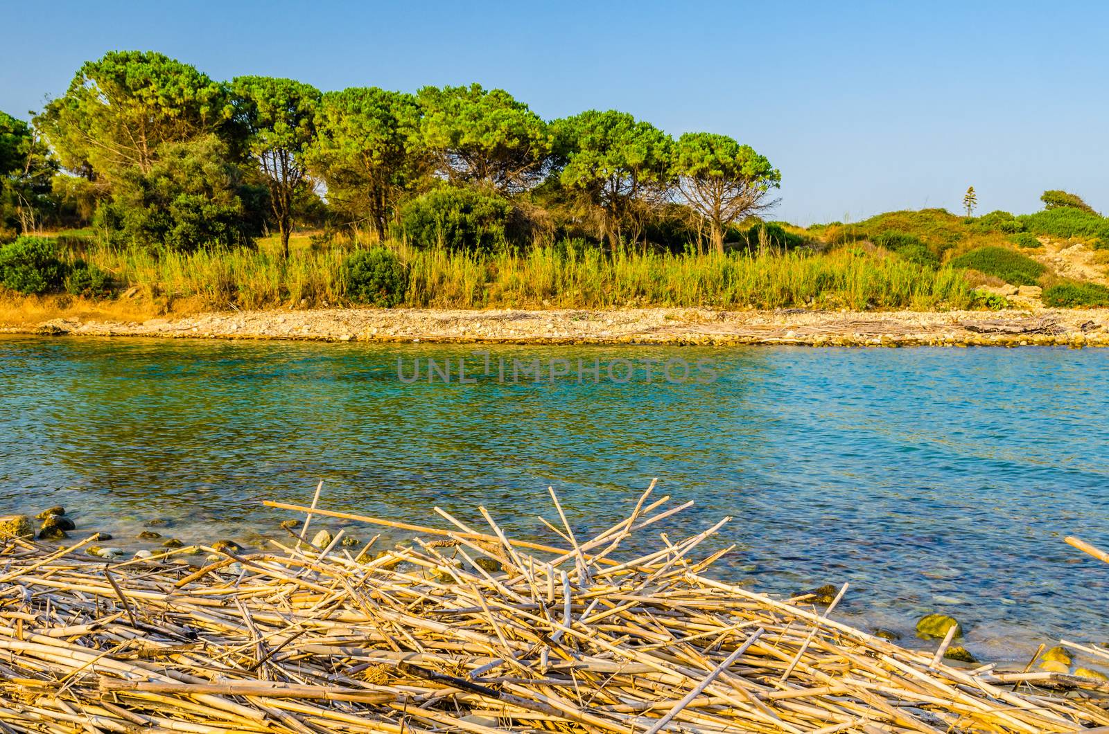 Cassibile river mouth next to Gelsomineto beach, Sicily, Italy by mauricallari