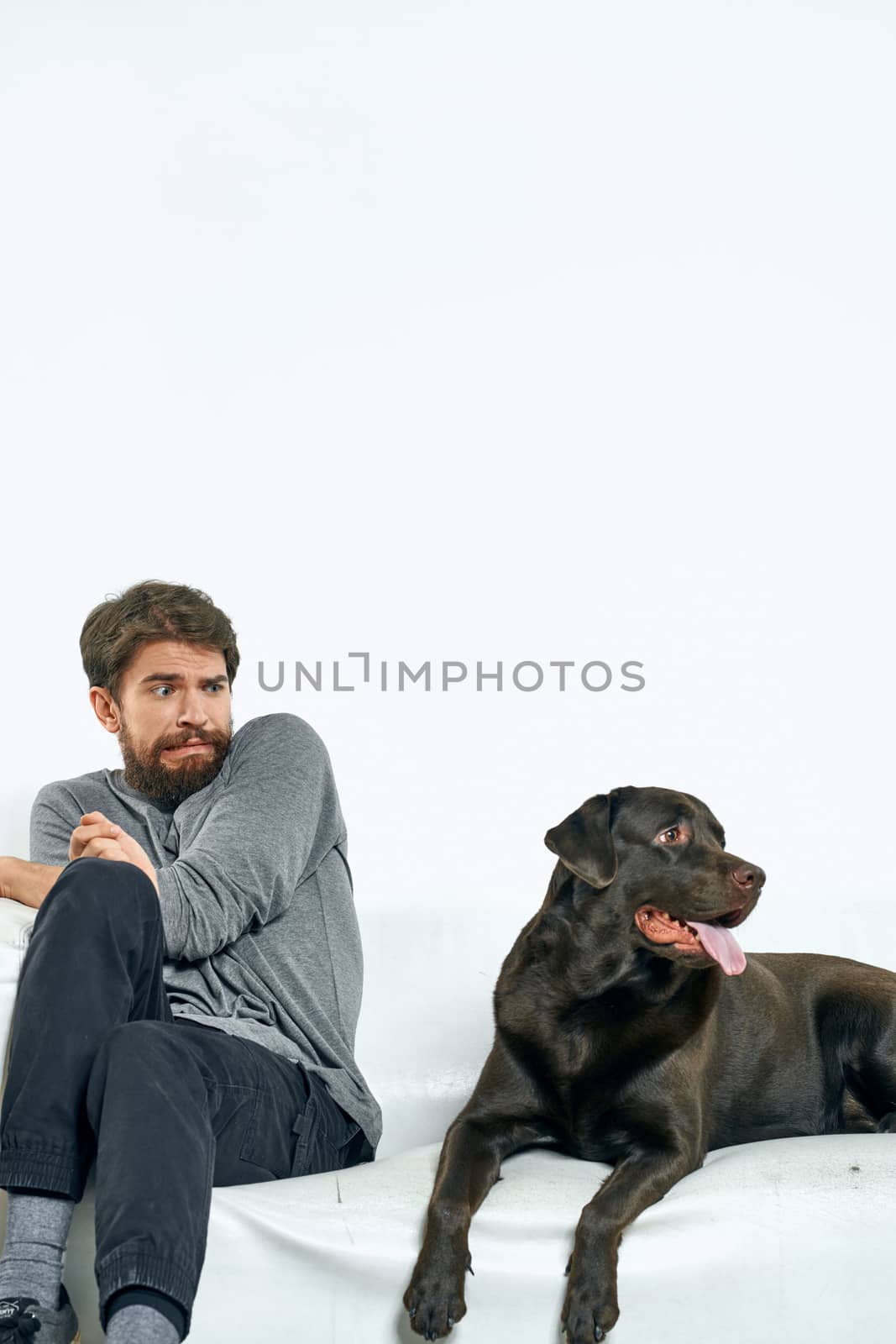 man with a black dog on a white sofa on a light background close-up cropped view pet human friend emotions fun. High quality photo