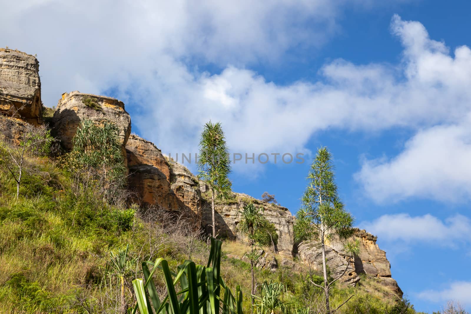 The Mountains covered with plants and a blue sky with small clouds