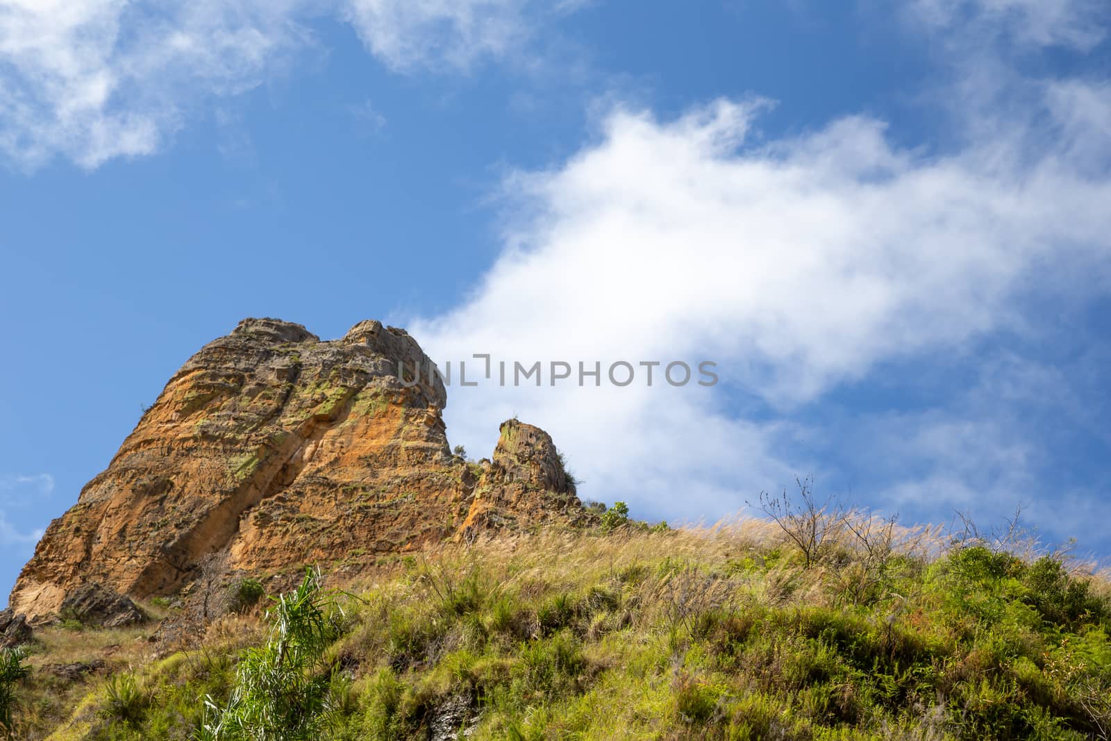 The Mountains covered with plants and a blue sky with small clouds