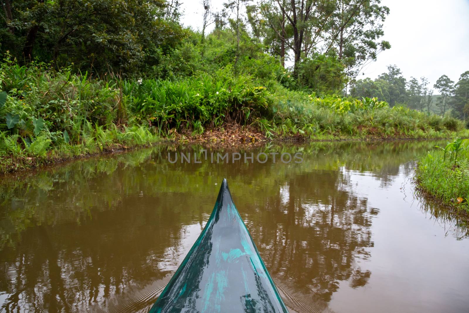 The boat trip on a river through the middle of the jungle