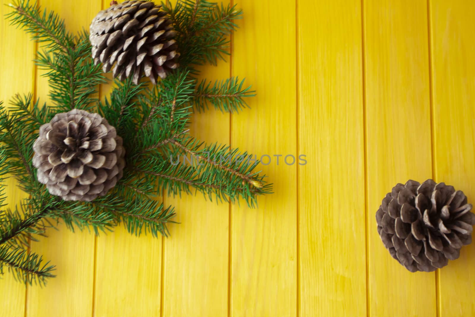 fresh spruce branches with big pine cones on yellow wooden planks background with copyspace