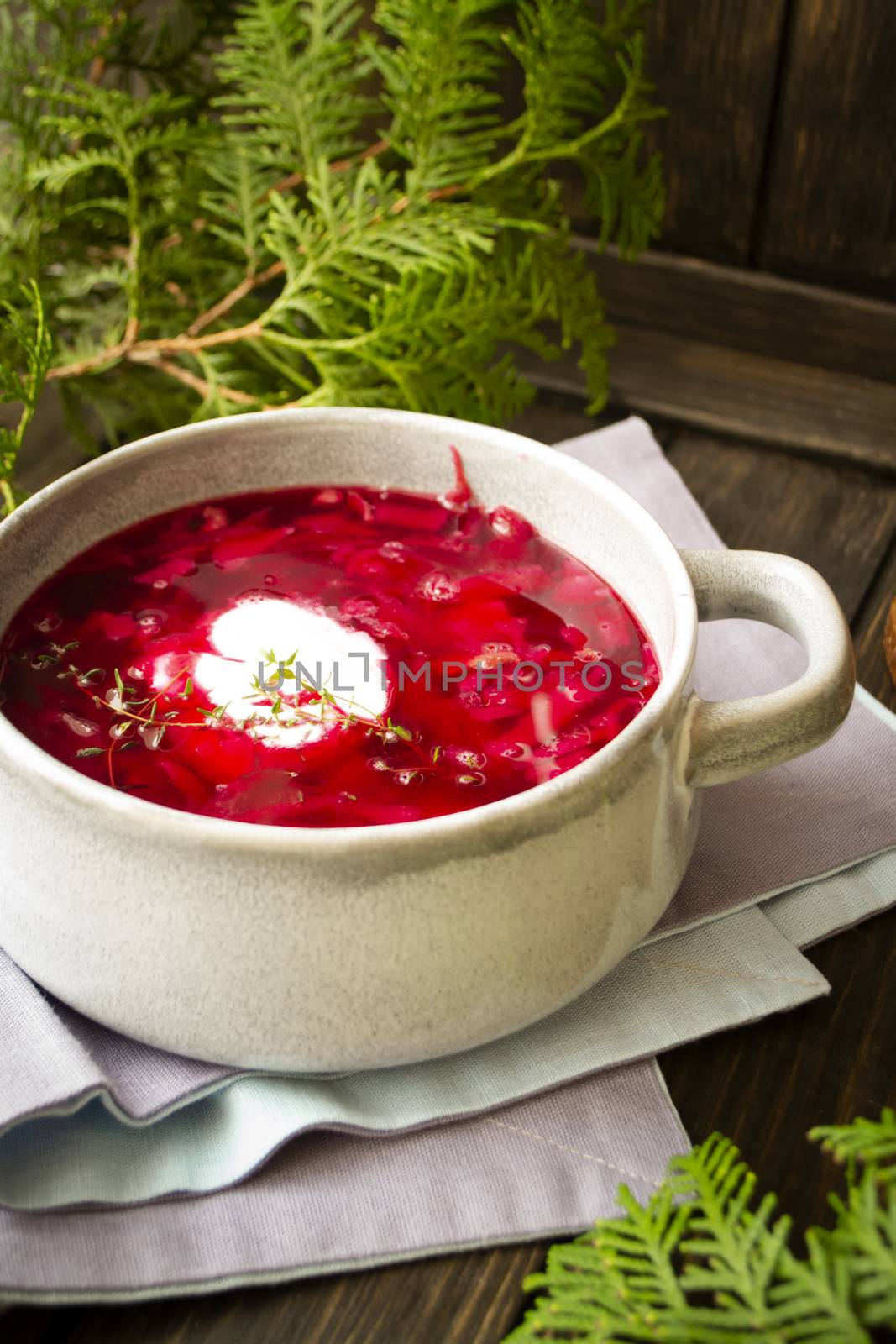 Russian national food red beet soup, borscht . Vertical