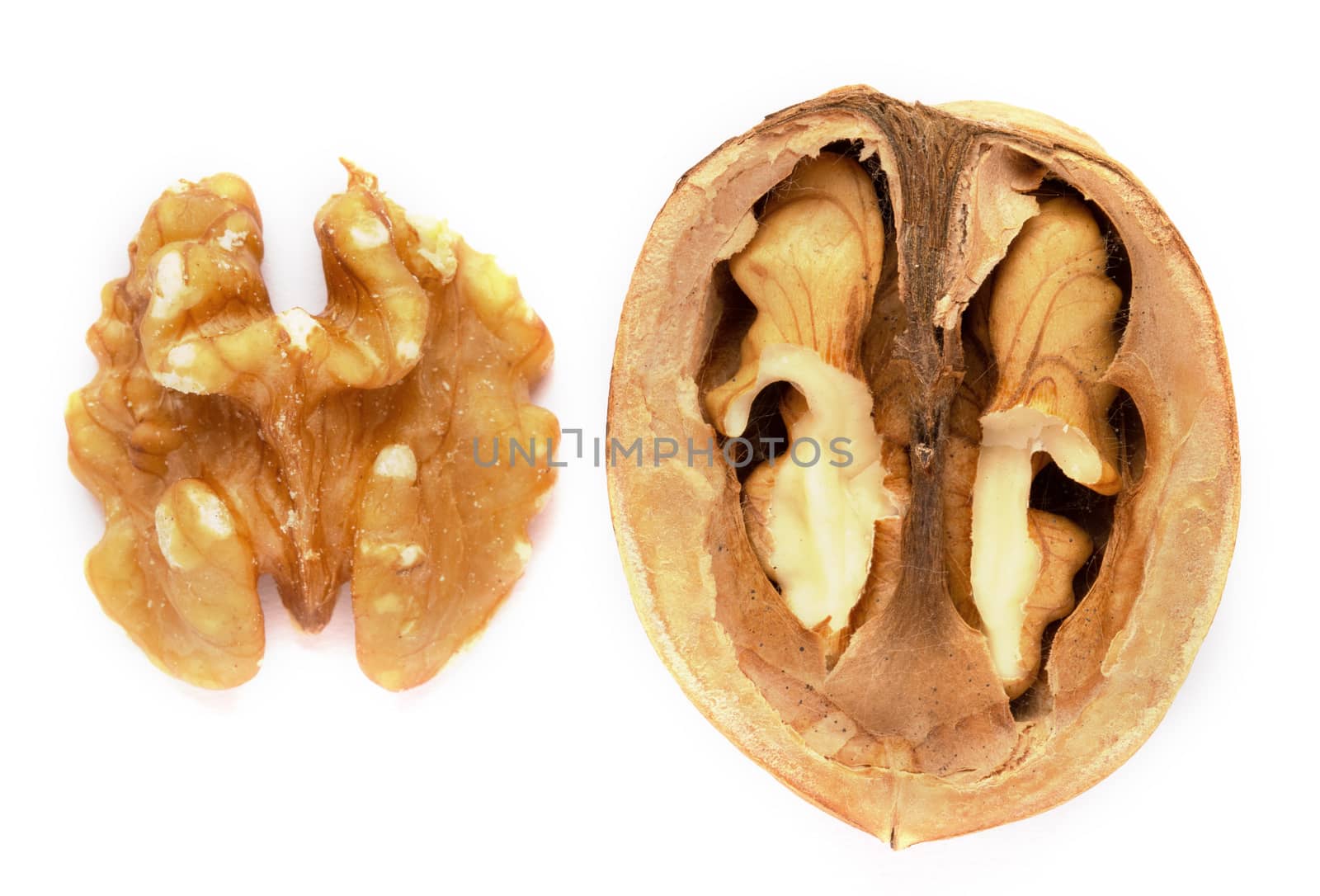 Some Shelled walnuts on a white background