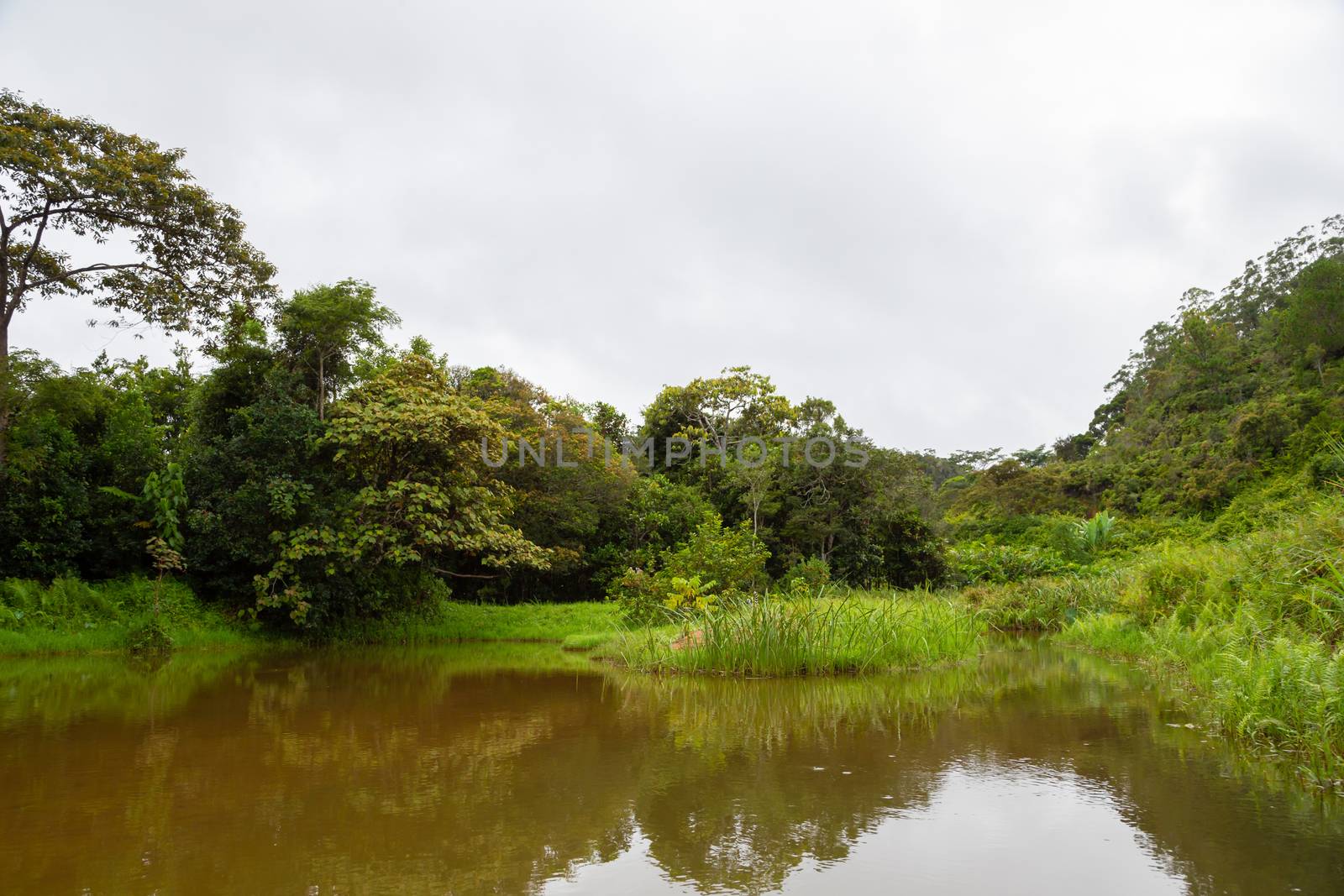 The view from the lake to the opposite island with lush plants