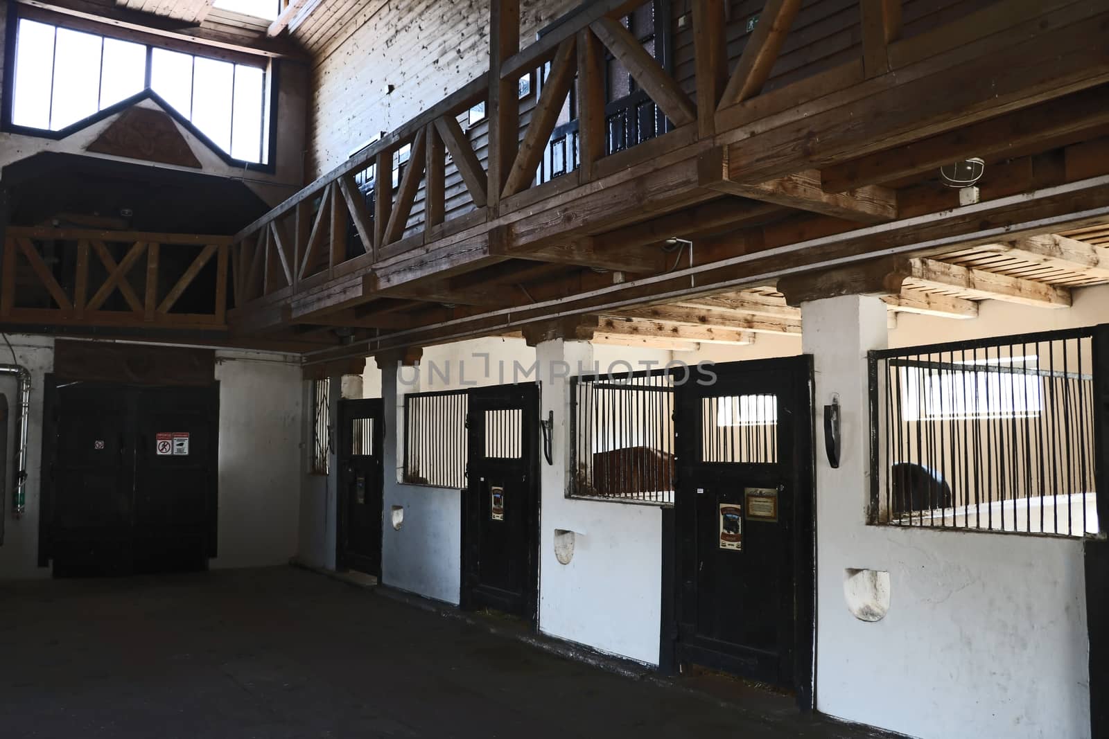 View of the stable in the evening. Pet house