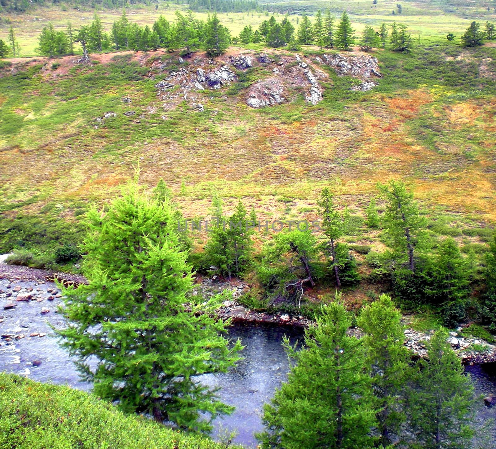 River in the taiga in northern Russia. The nature of the taiga in a mountainous area.