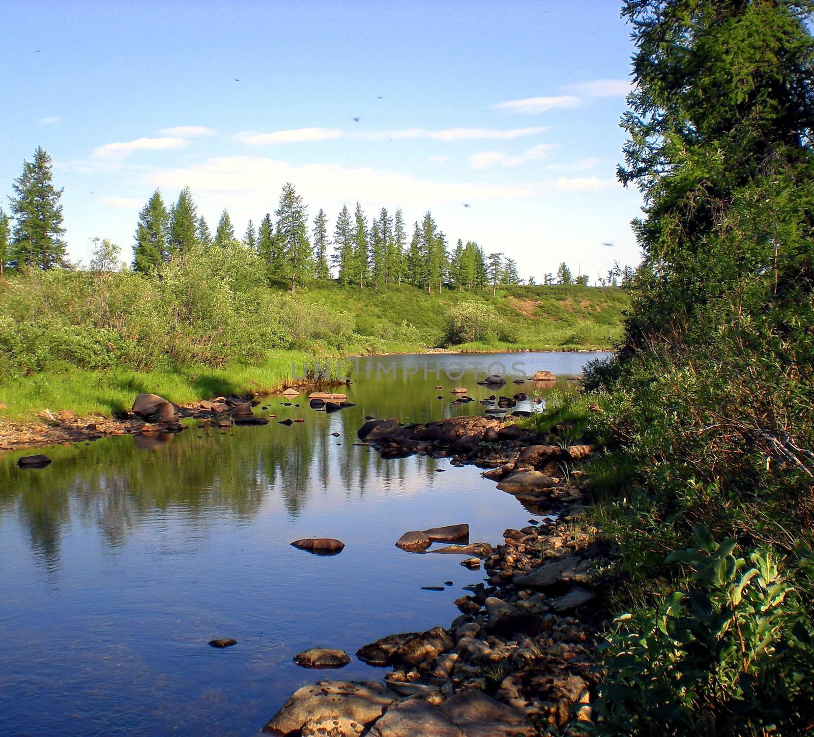 River in the taiga in northern Russia. The nature of the taiga in a mountainous area.