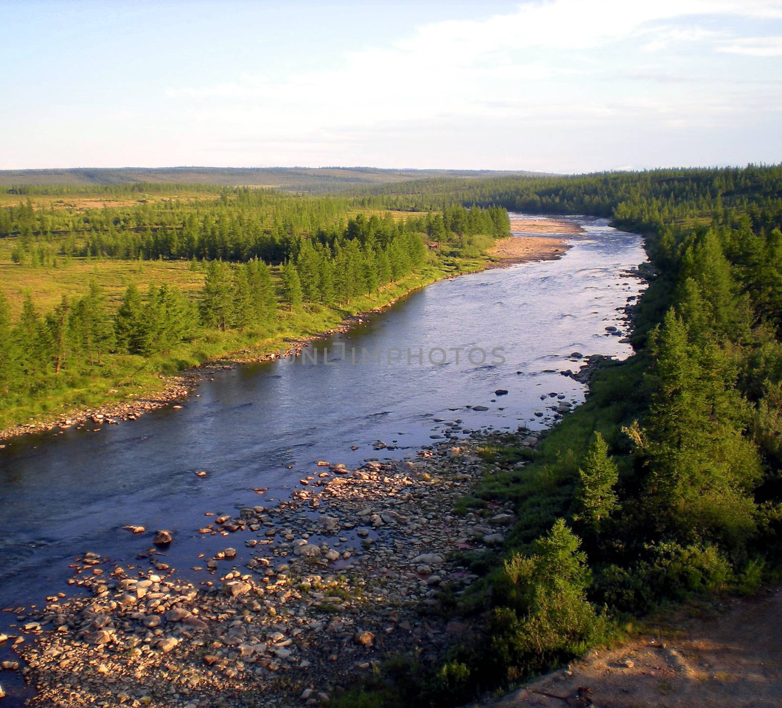 River in the taiga in northern Russia. The nature of the taiga in a mountainous area.