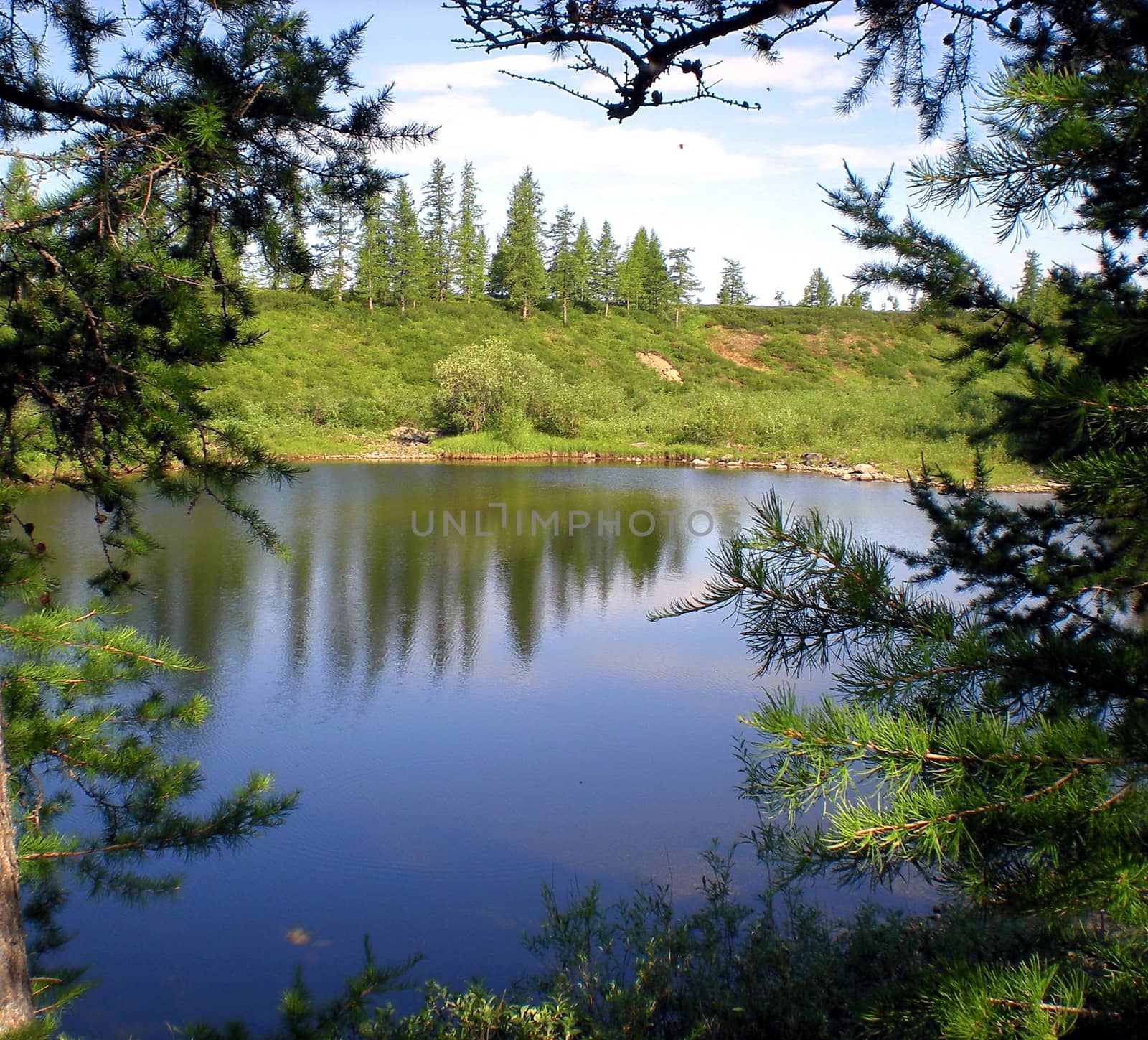 River in the taiga in northern Russia. The nature of the taiga in a mountainous area.