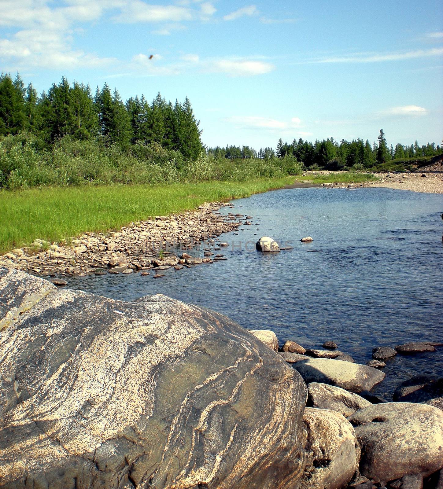 River in taiga in northern Russia. The nature of the taiga in a mountainous area. by DePo