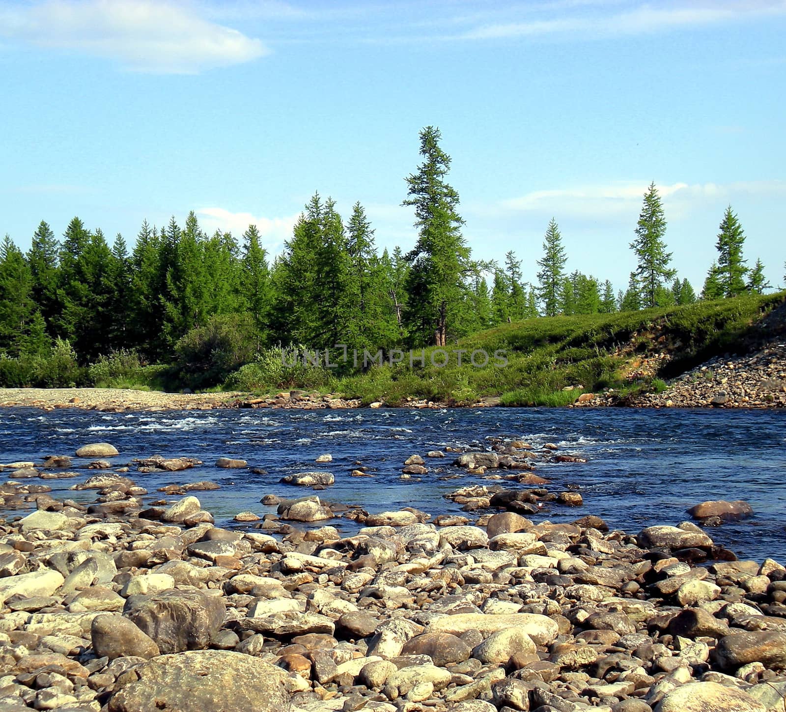 River in the taiga in northern Russia. The nature of the taiga in a mountainous area.