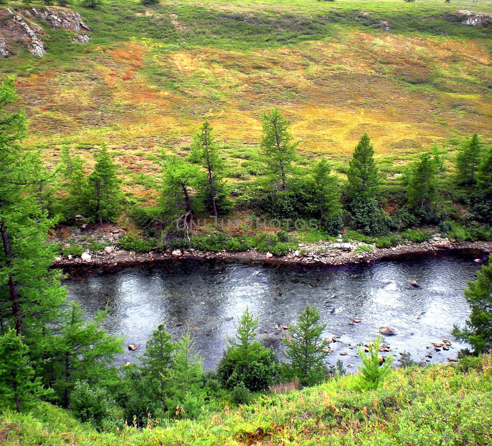 River in the taiga in northern Russia. The nature of the taiga in a mountainous area.