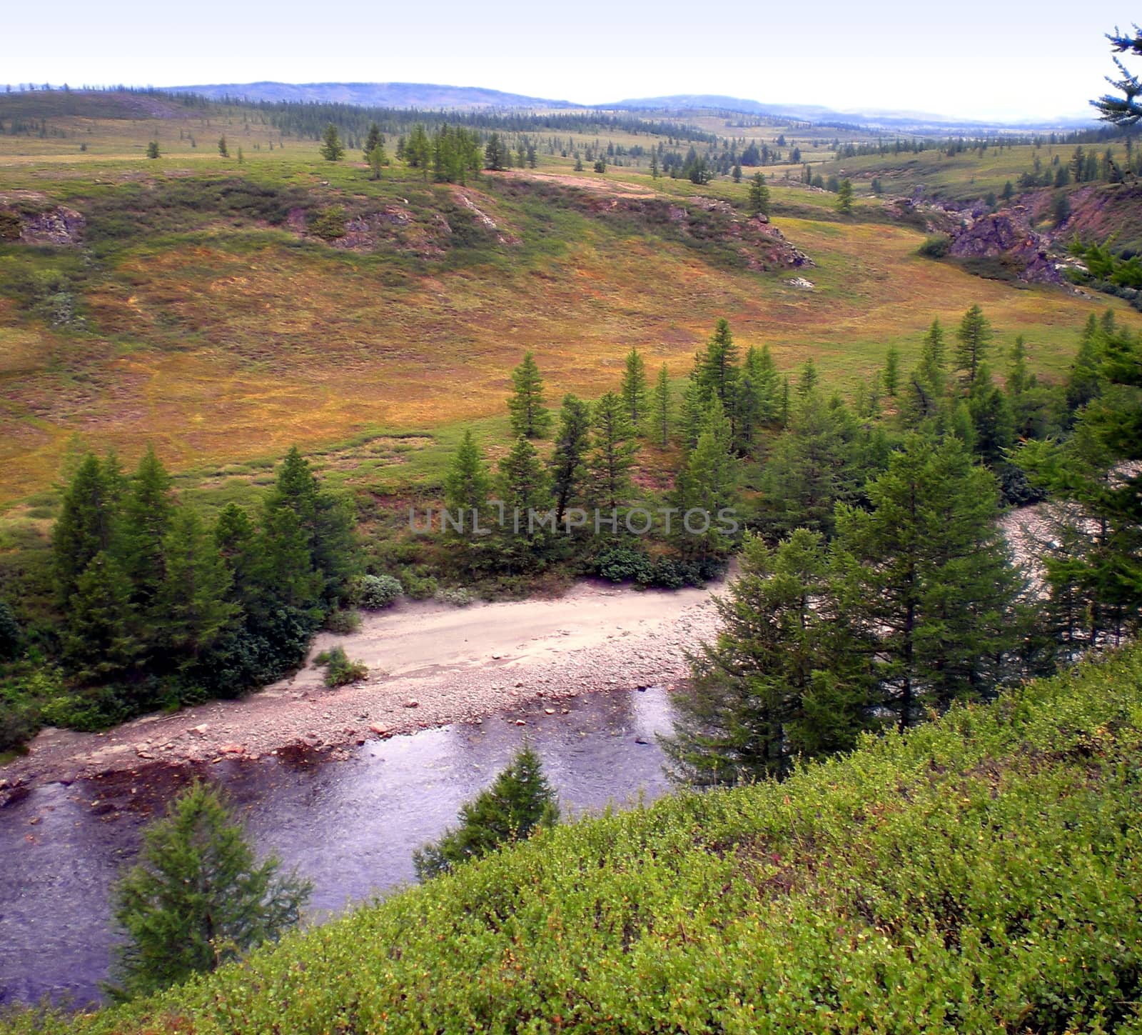 River in the taiga in northern Russia. The nature of the taiga in a mountainous area.