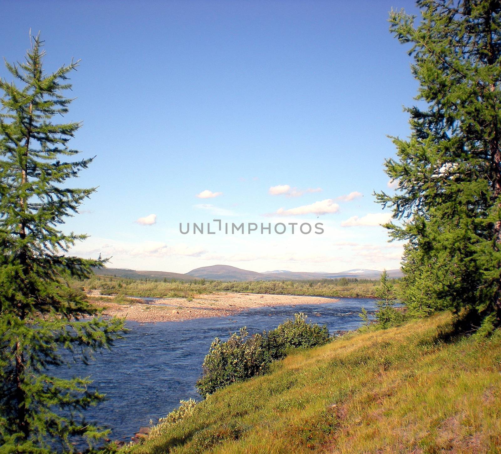 River in the taiga in northern Russia. The nature of the taiga in a mountainous area.
