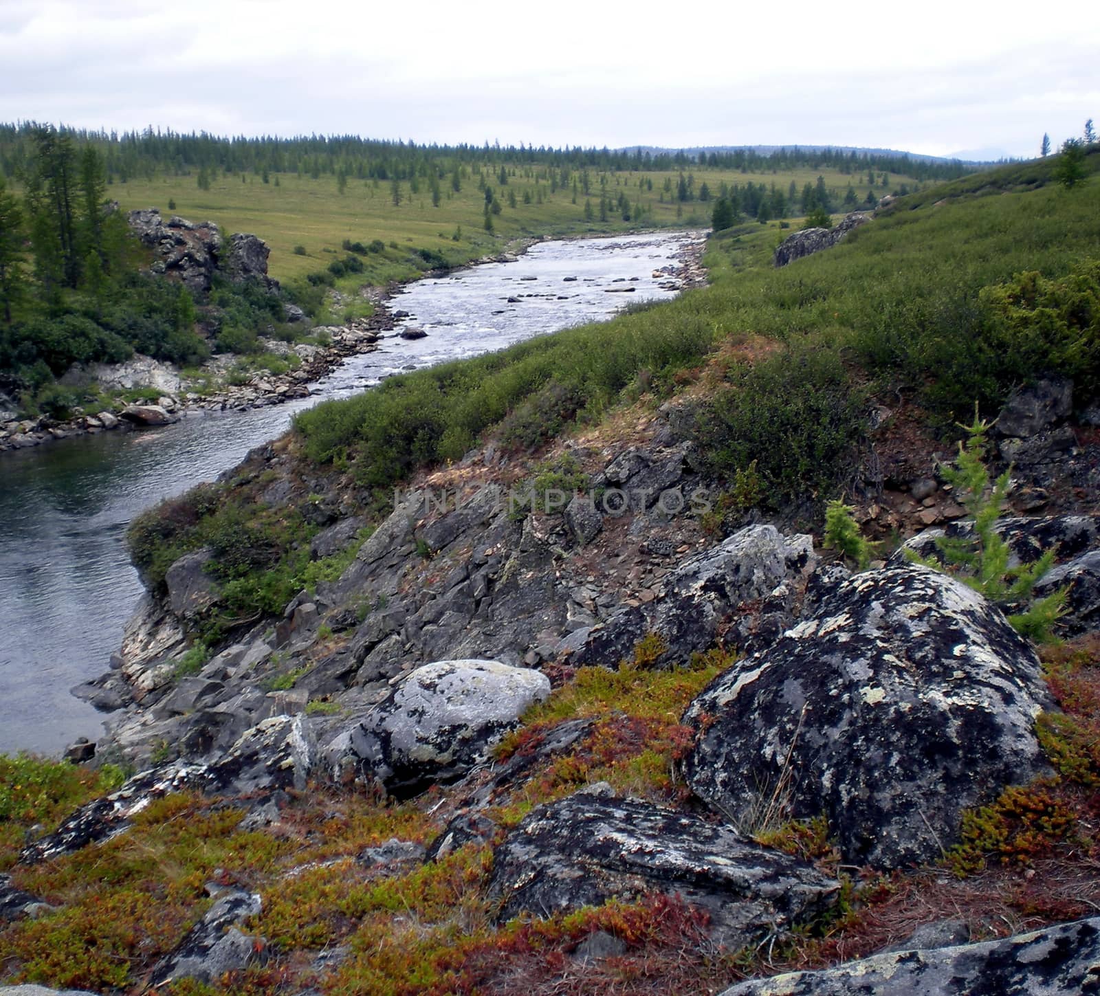 River in the taiga in northern Russia. The nature of the taiga in a mountainous area.