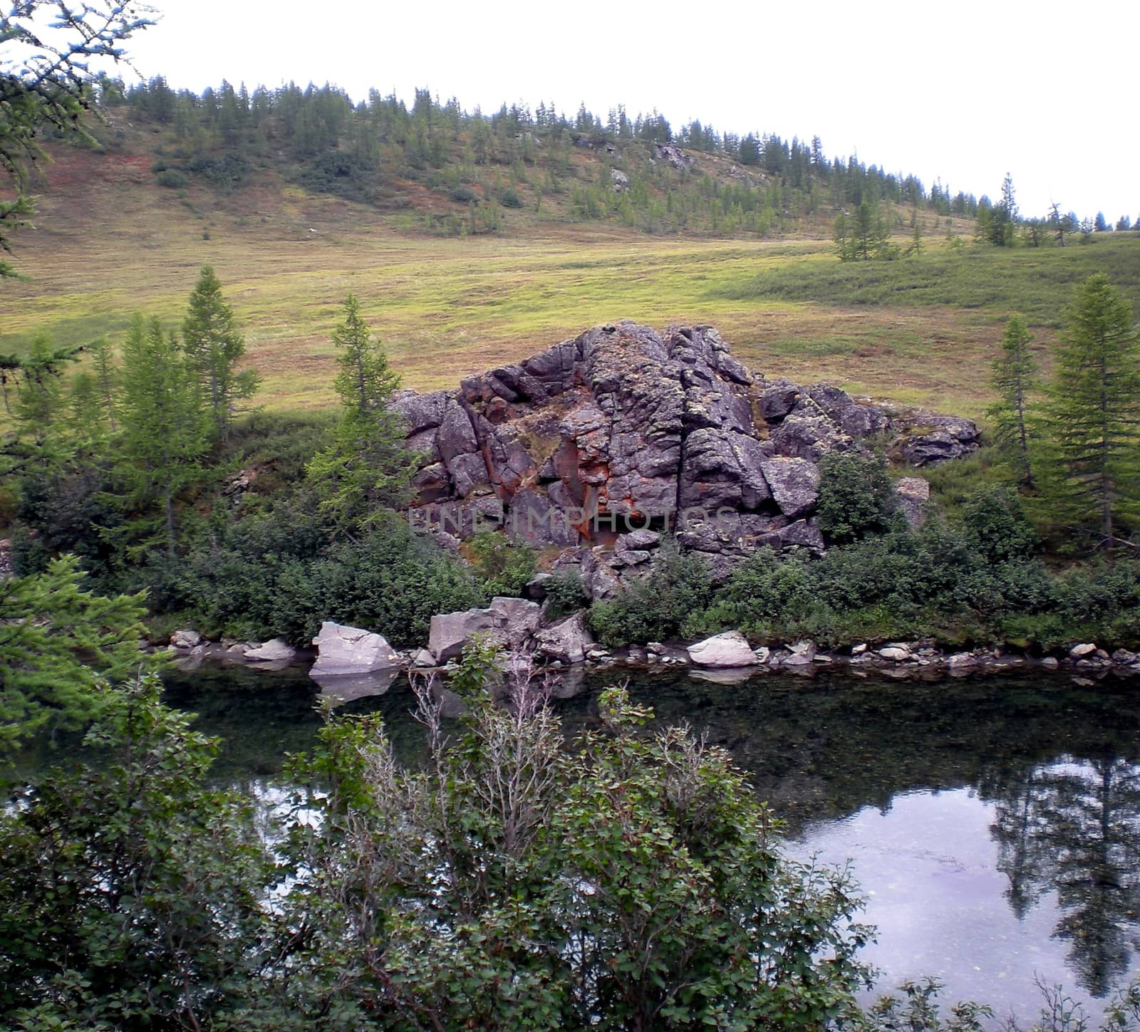 River in the taiga in northern Russia. The nature of the taiga in a mountainous area.
