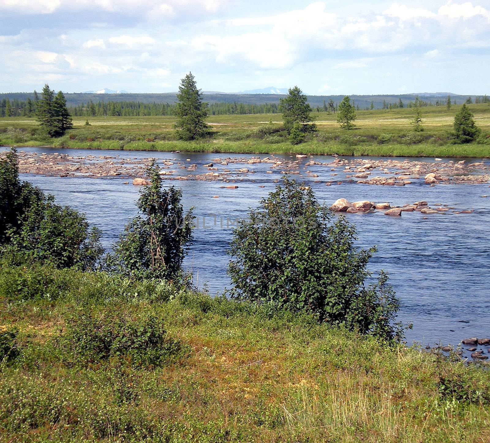River in the taiga in northern Russia. The nature of the taiga in a mountainous area.