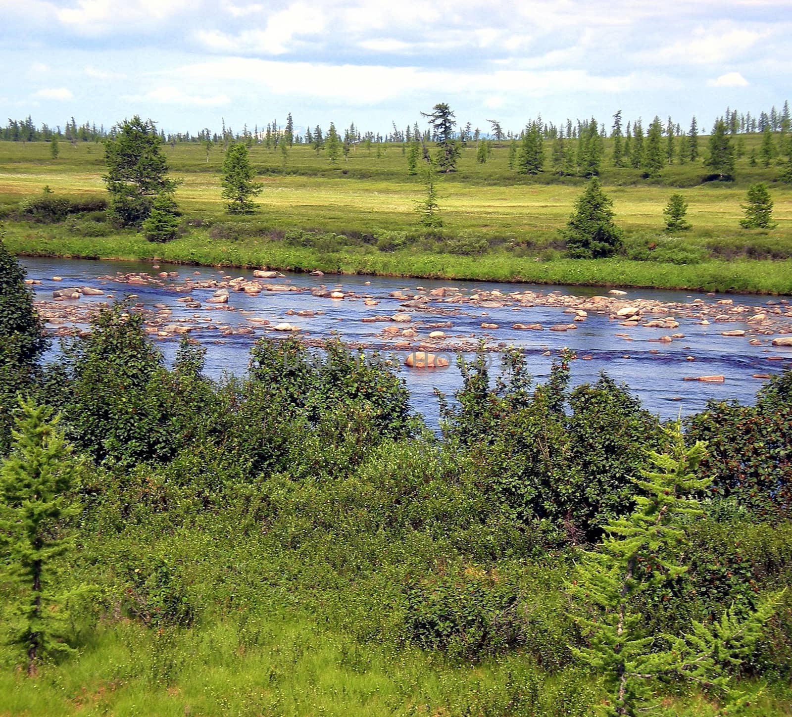 River in the taiga in northern Russia. The nature of the taiga in a mountainous area.