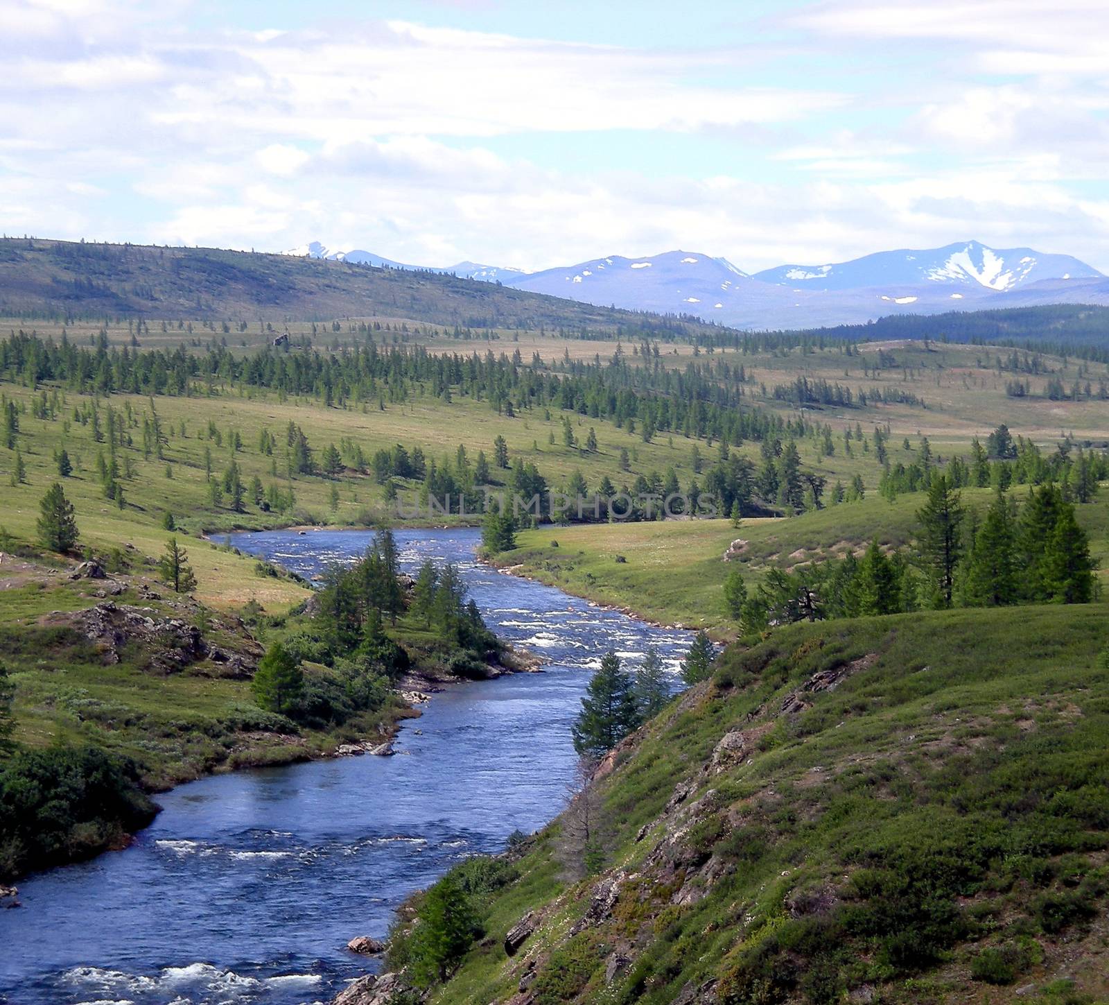 River in the taiga in northern Russia. The nature of the taiga in a mountainous area.
