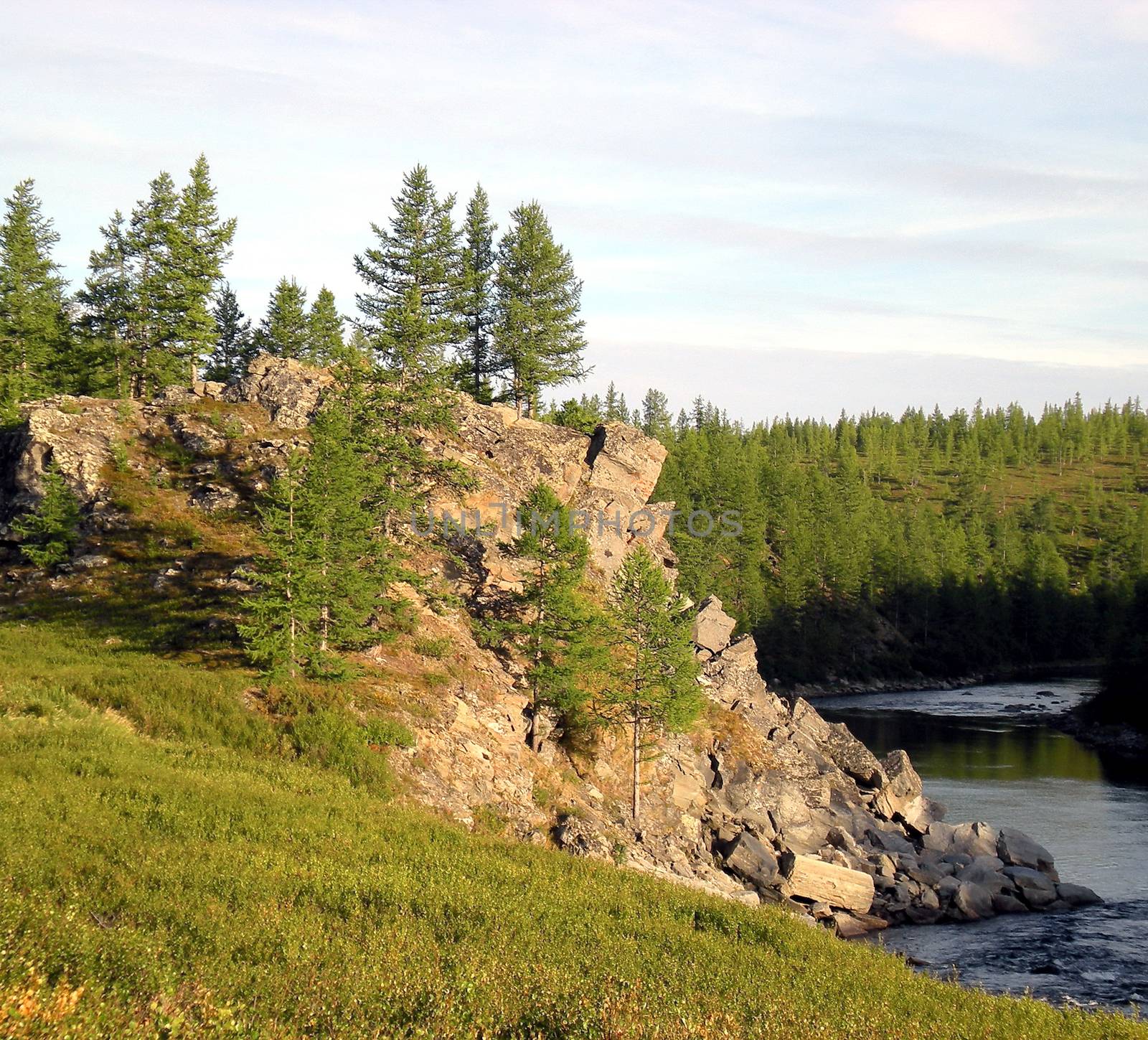 River in the taiga in northern Russia. The nature of the taiga in a mountainous area.