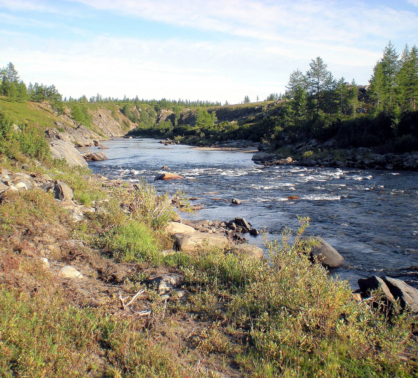 River in the taiga in northern Russia. The nature of the taiga in a mountainous area.