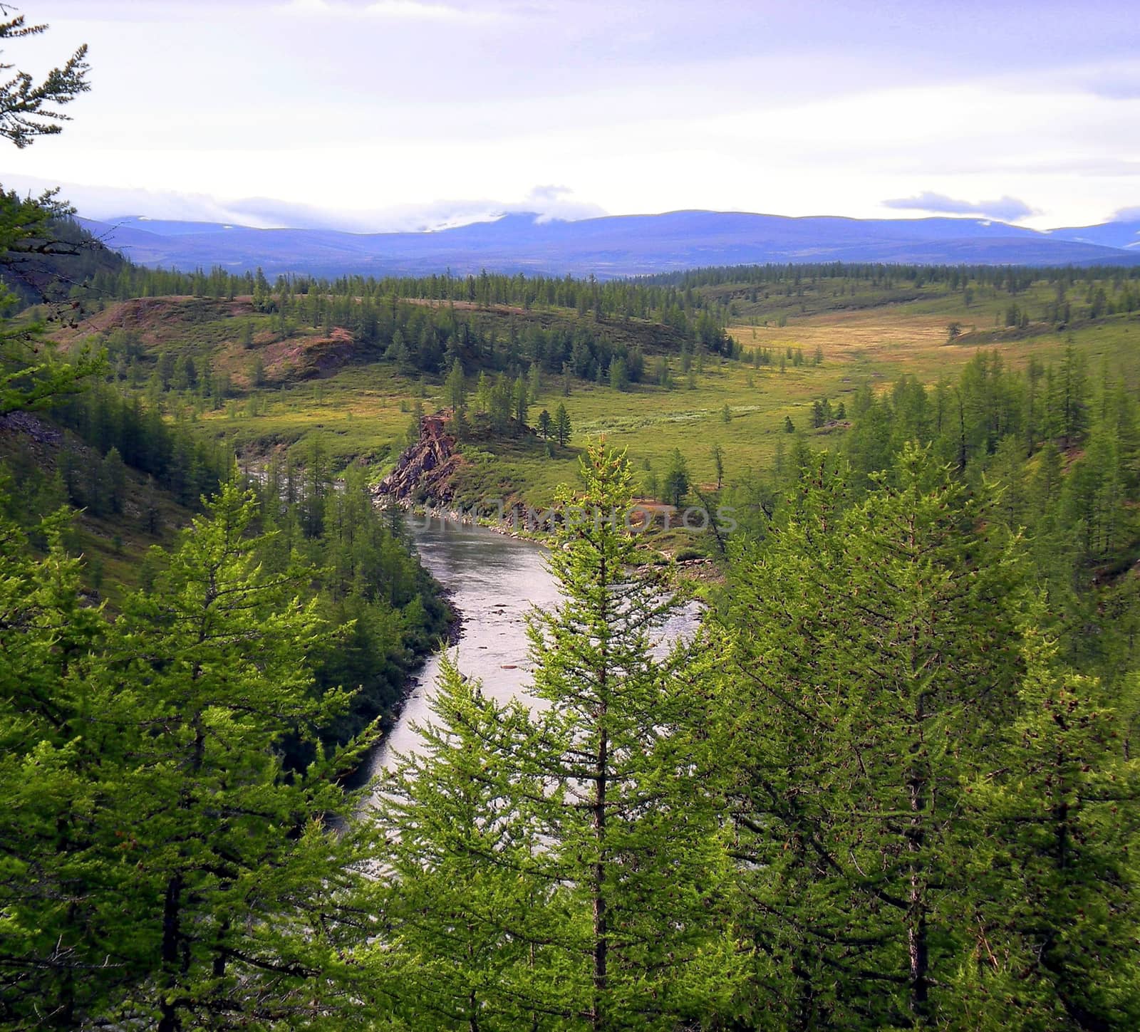 River in the taiga in northern Russia. The nature of the taiga in a mountainous area.