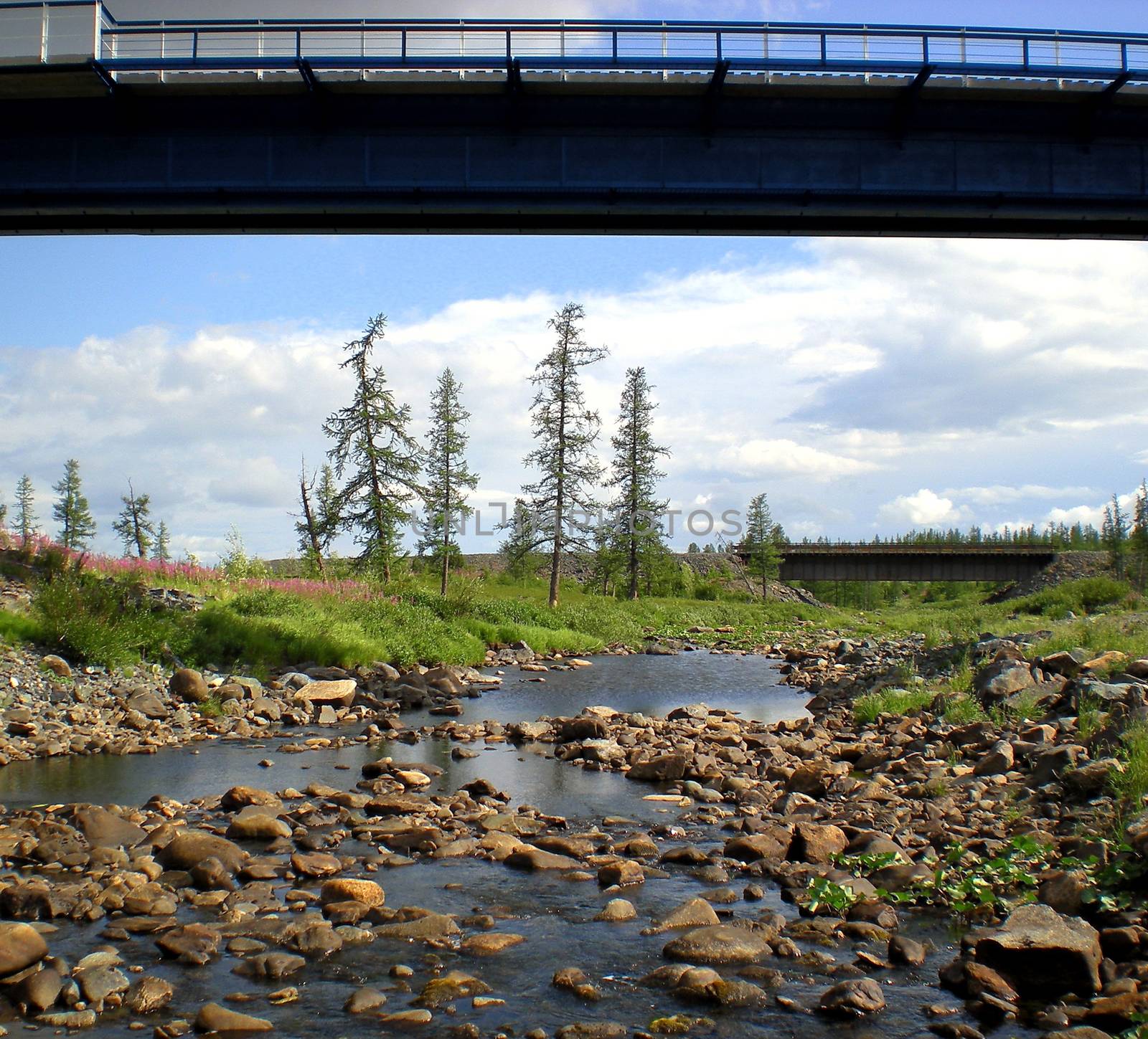 River in the taiga in northern Russia. The nature of the taiga in a mountainous area.