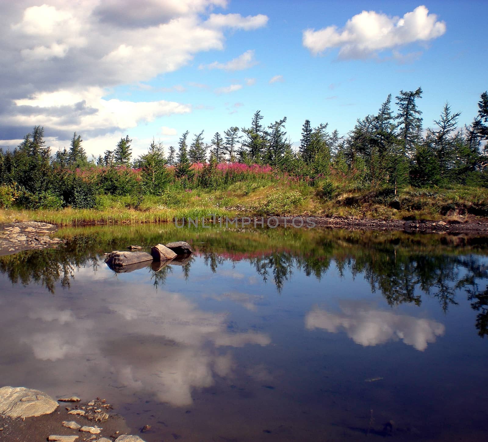 River in the taiga in northern Russia. The nature of the taiga in a mountainous area.